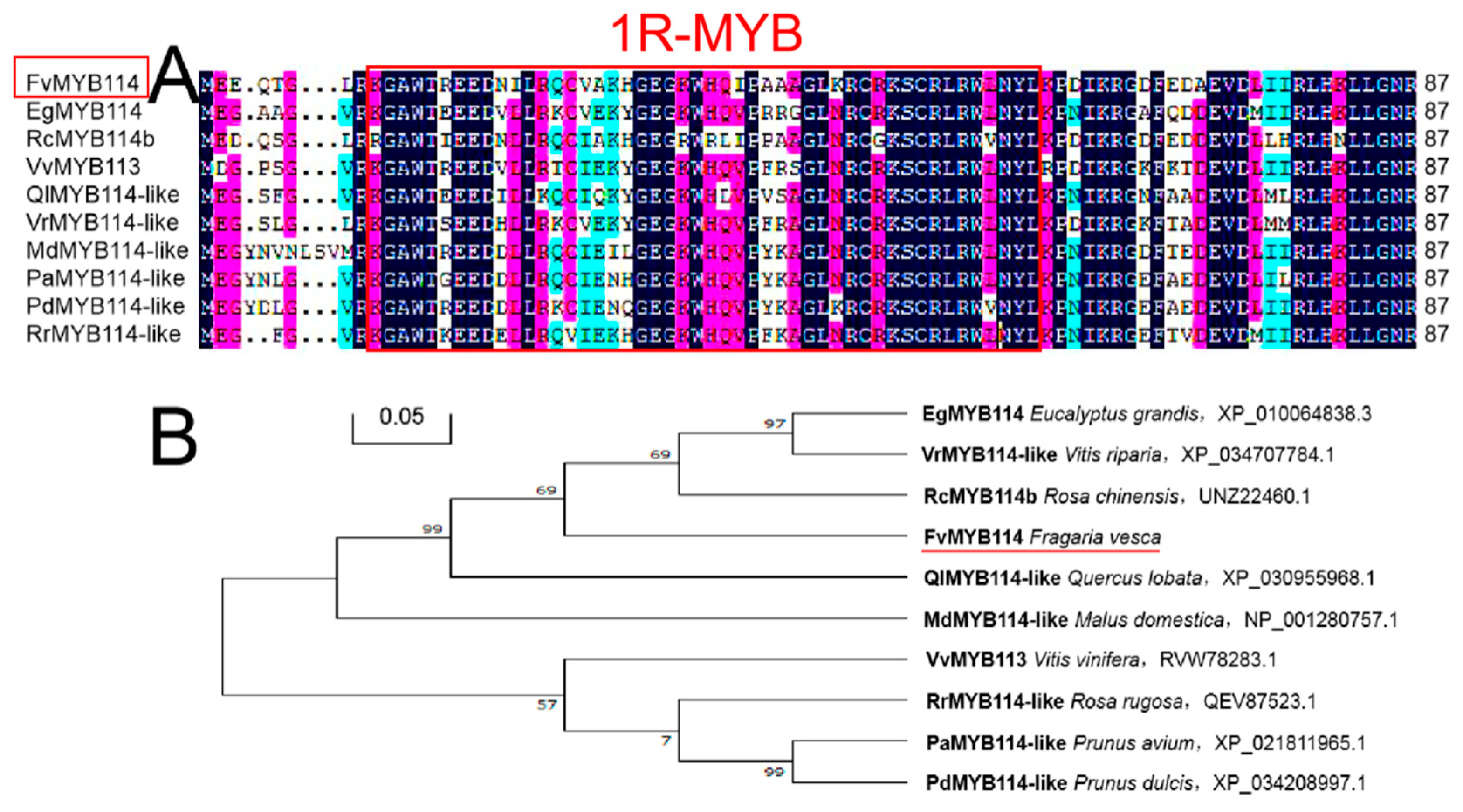 Ijms 24 05261 g001 Ijms 24 05261 g001
