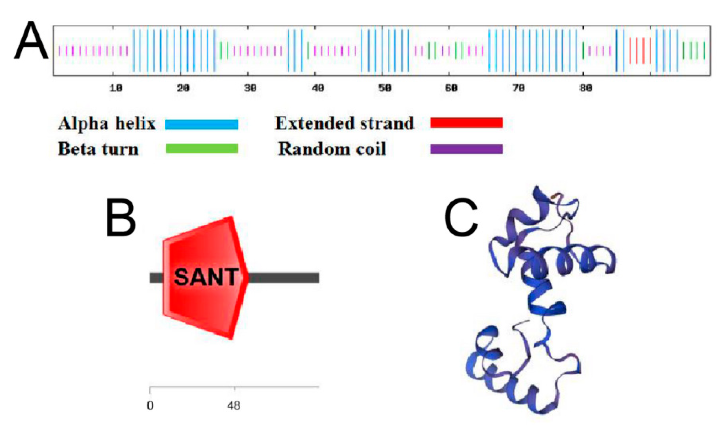 Ijms 24 05261 g002 Ijms 24 05261 g002