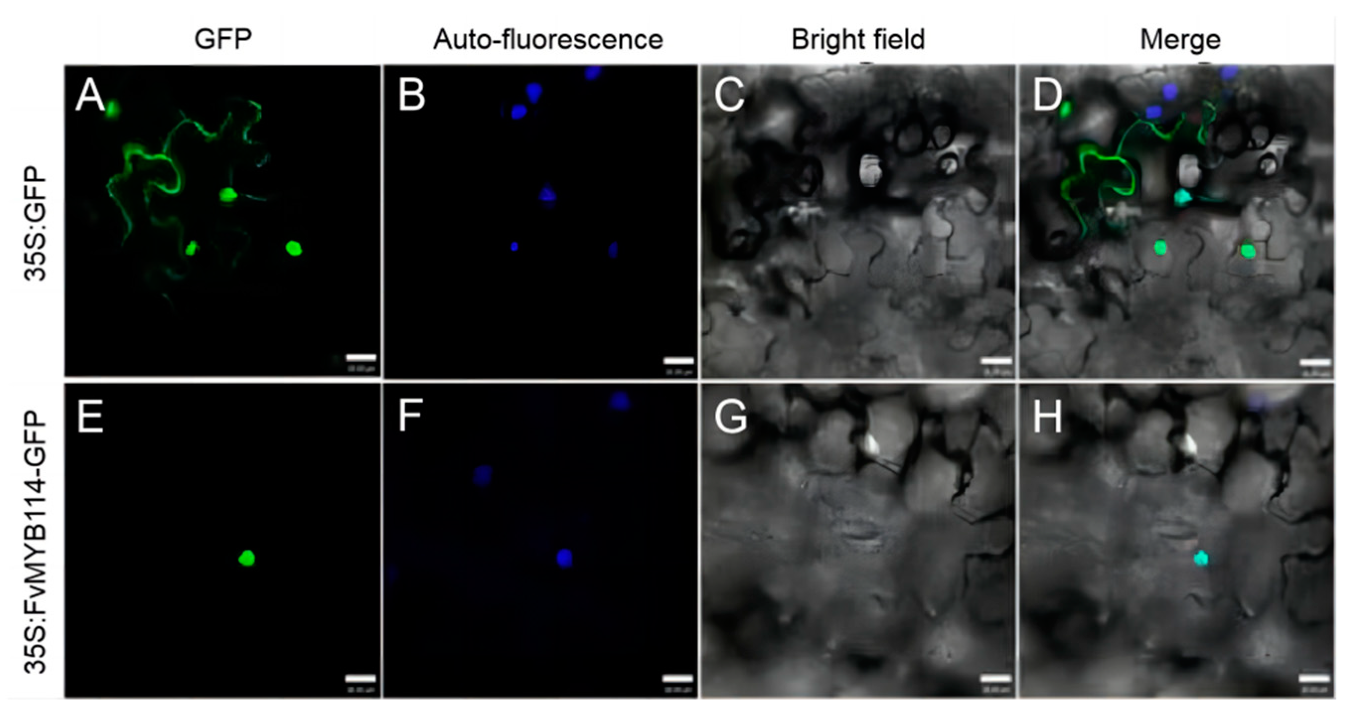 Ijms 24 05261 g003 Ijms 24 05261 g003