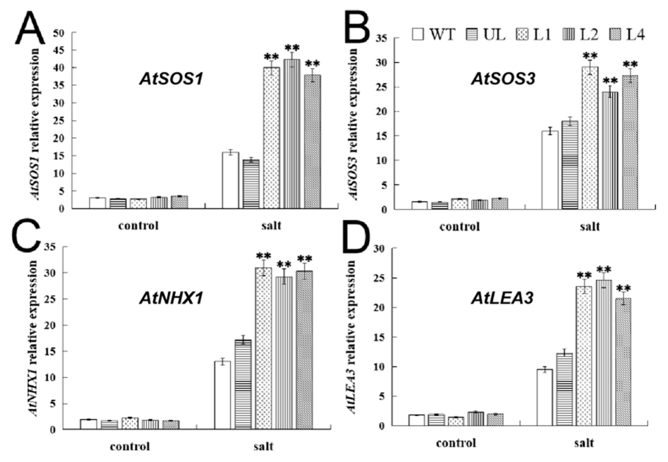 Ijms 24 05261 g007 Ijms 24 05261 g007
