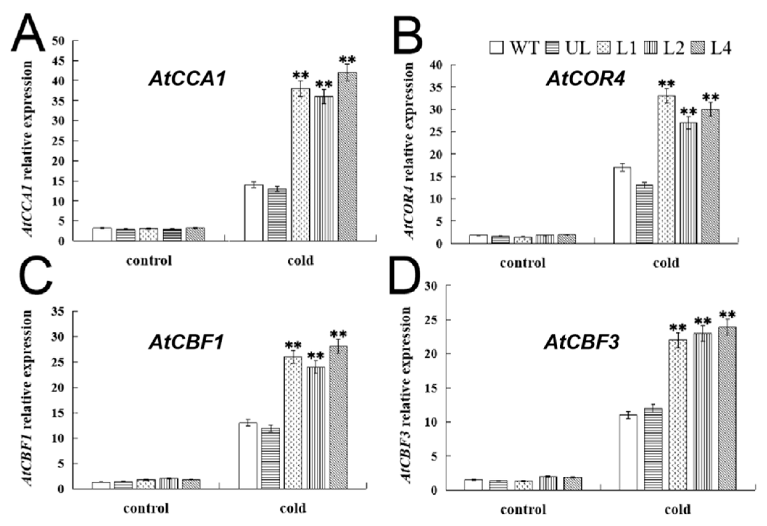 Ijms 24 05261 g010 Ijms 24 05261 g010