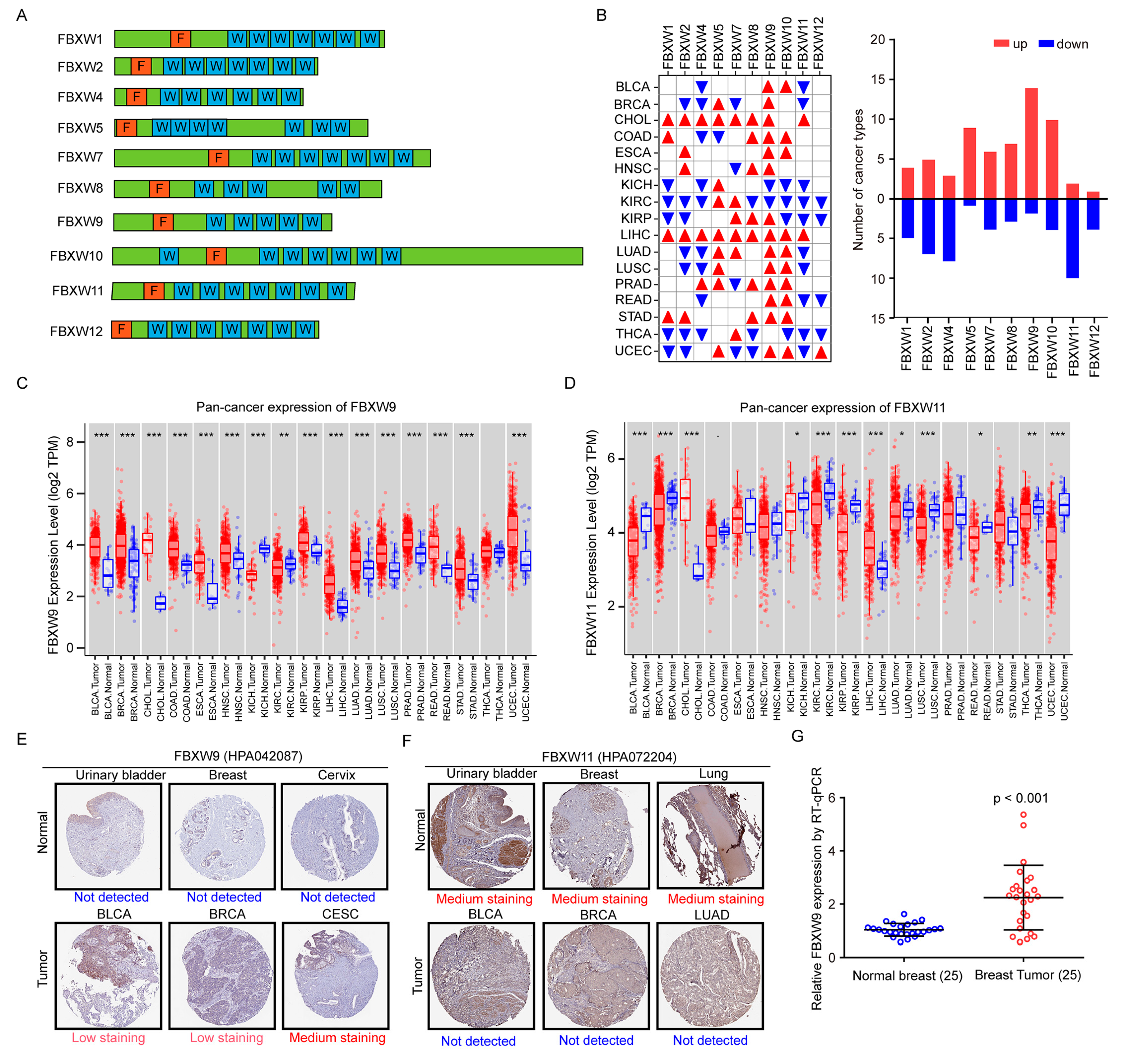 Ijms 24 05262 g001 Ijms 24 05262 g001