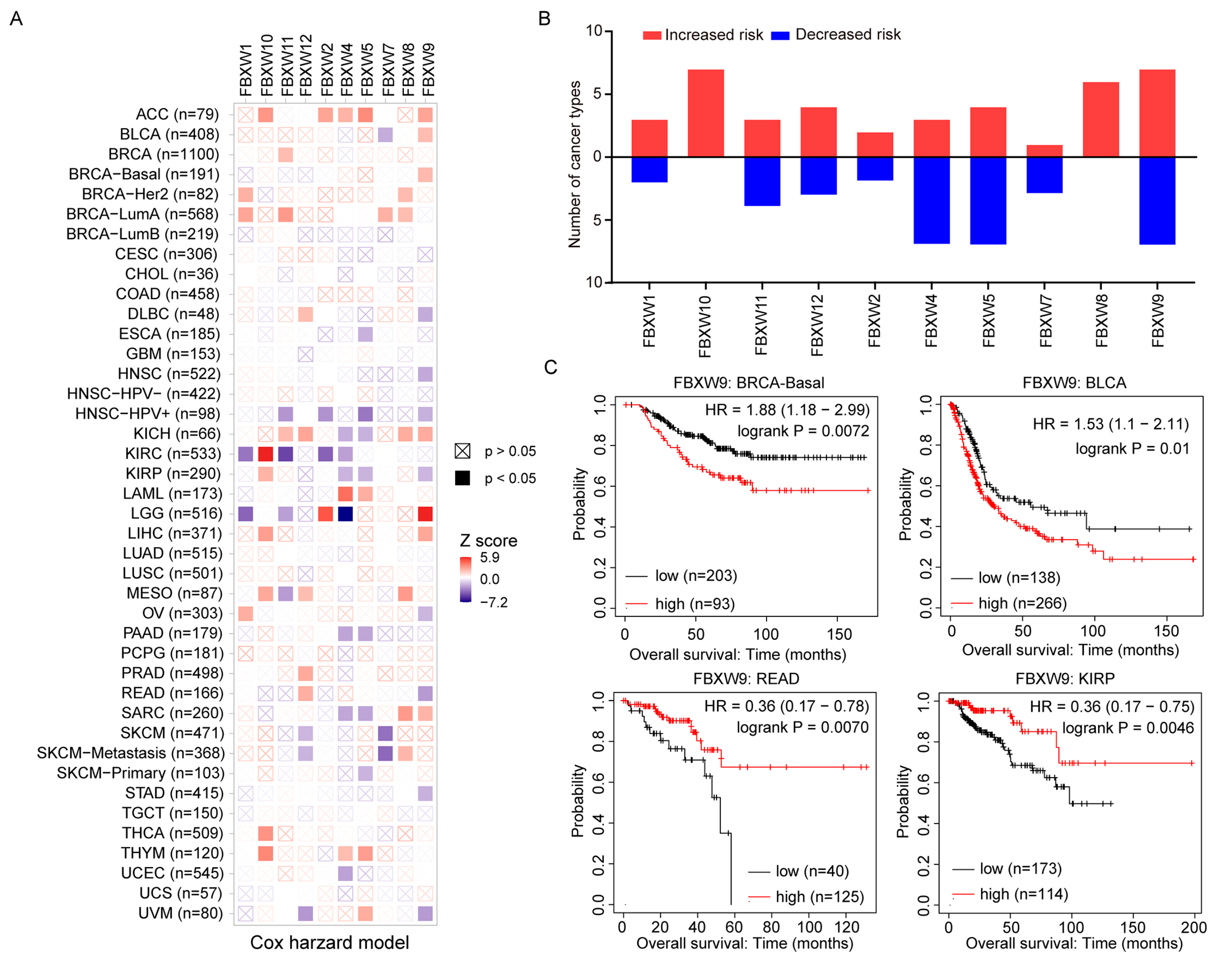 Ijms 24 05262 g002 Ijms 24 05262 g002