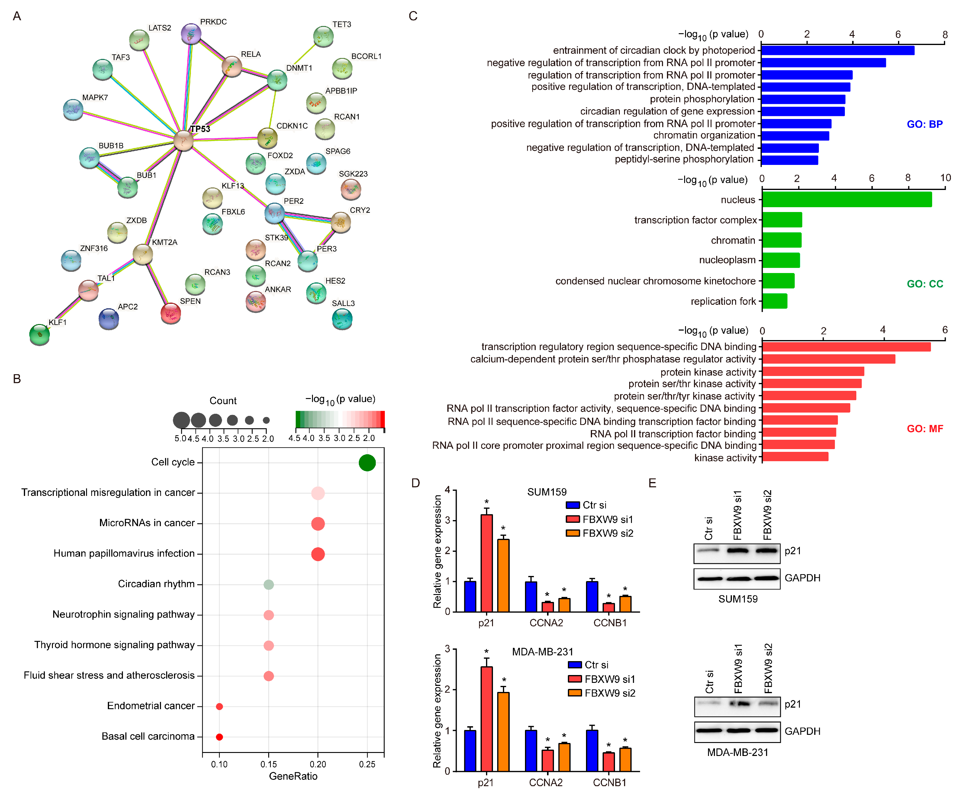Ijms 24 05262 g006 Ijms 24 05262 g006