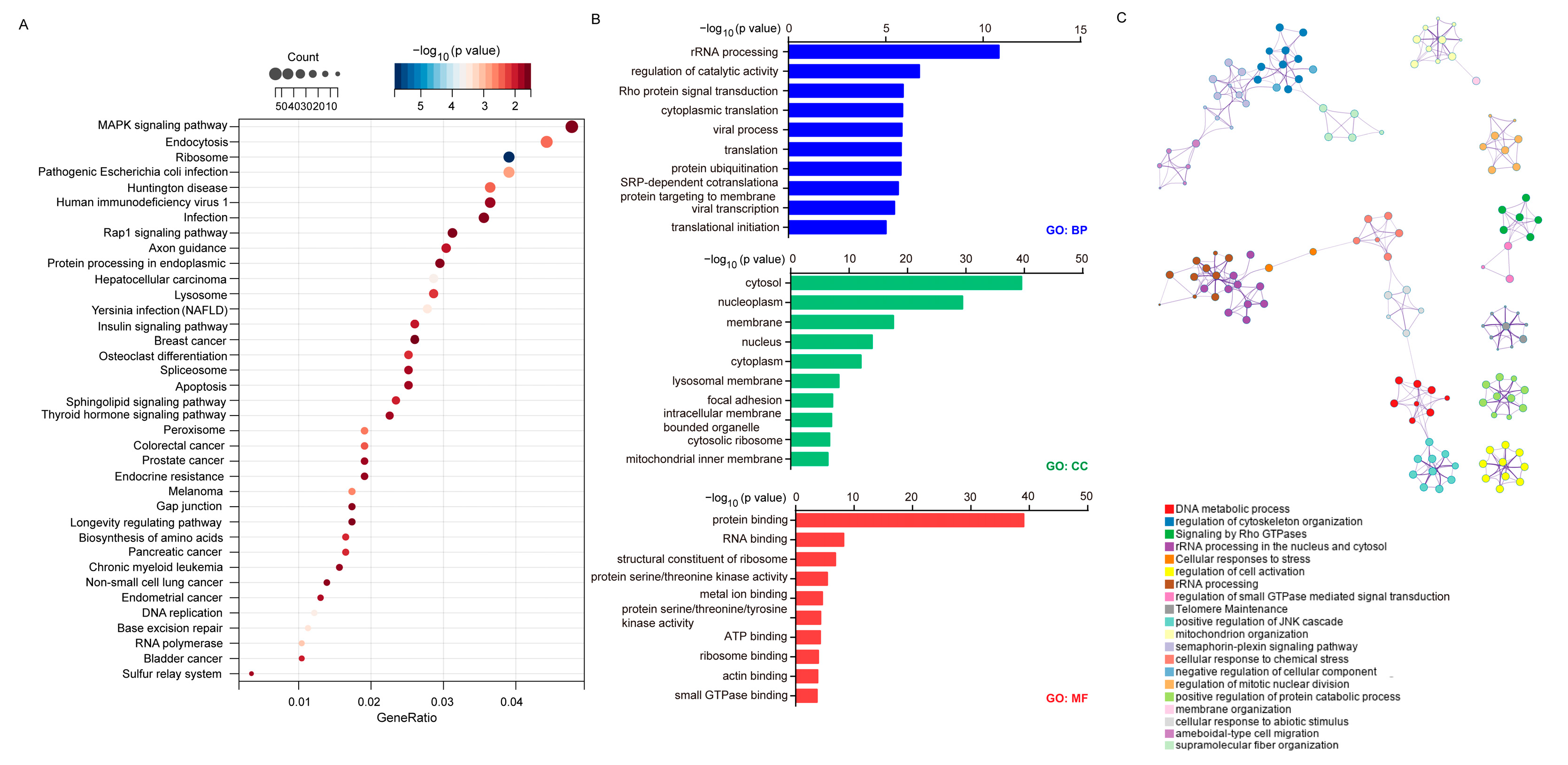 Ijms 24 05262 g008 Ijms 24 05262 g008