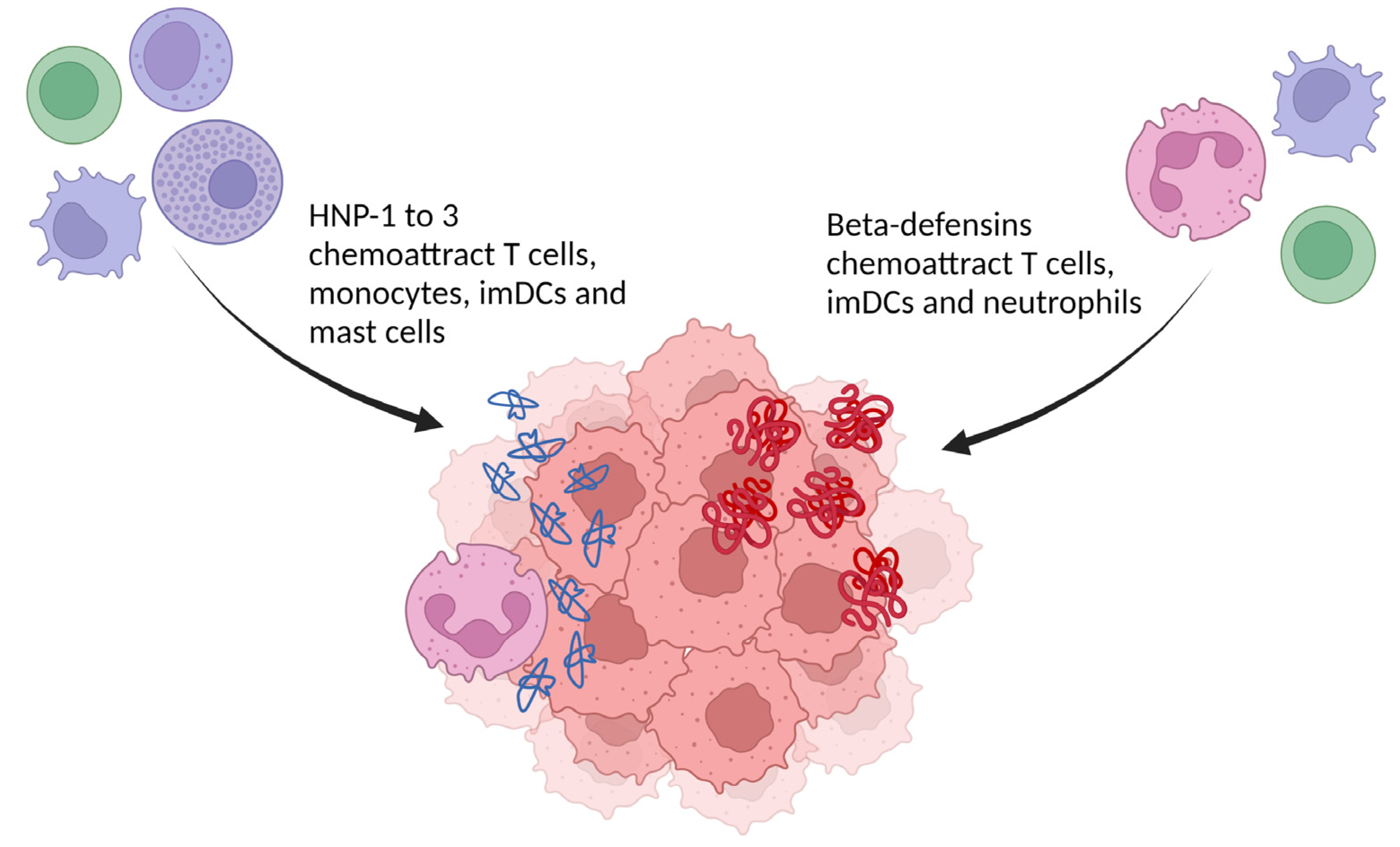 Clobetasol: Cancer Risk Or Urban Myth? The Facts Revealed - 1ic1hcf