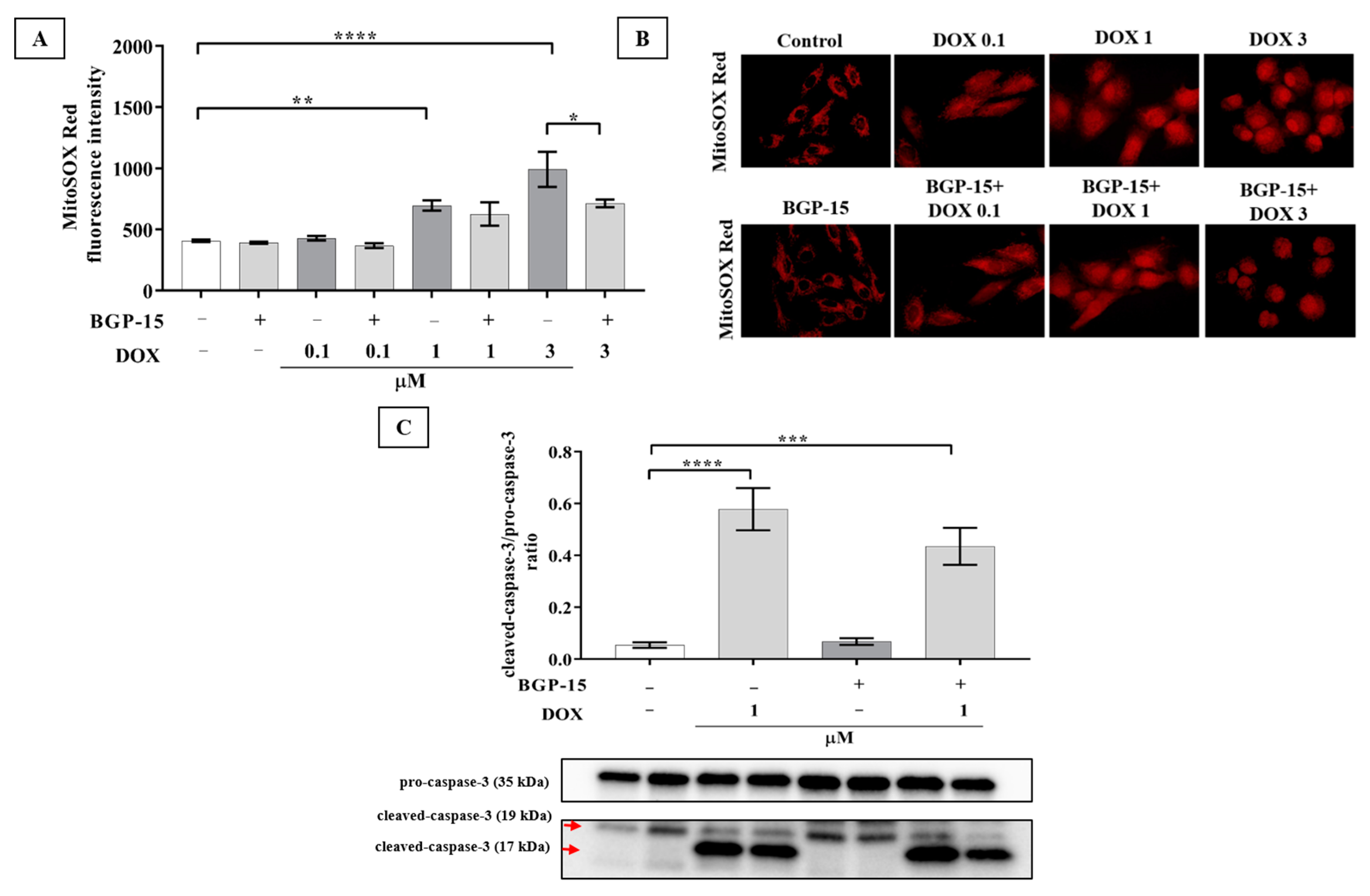 Ijms 24 05269 g002 Ijms 24 05269 g002