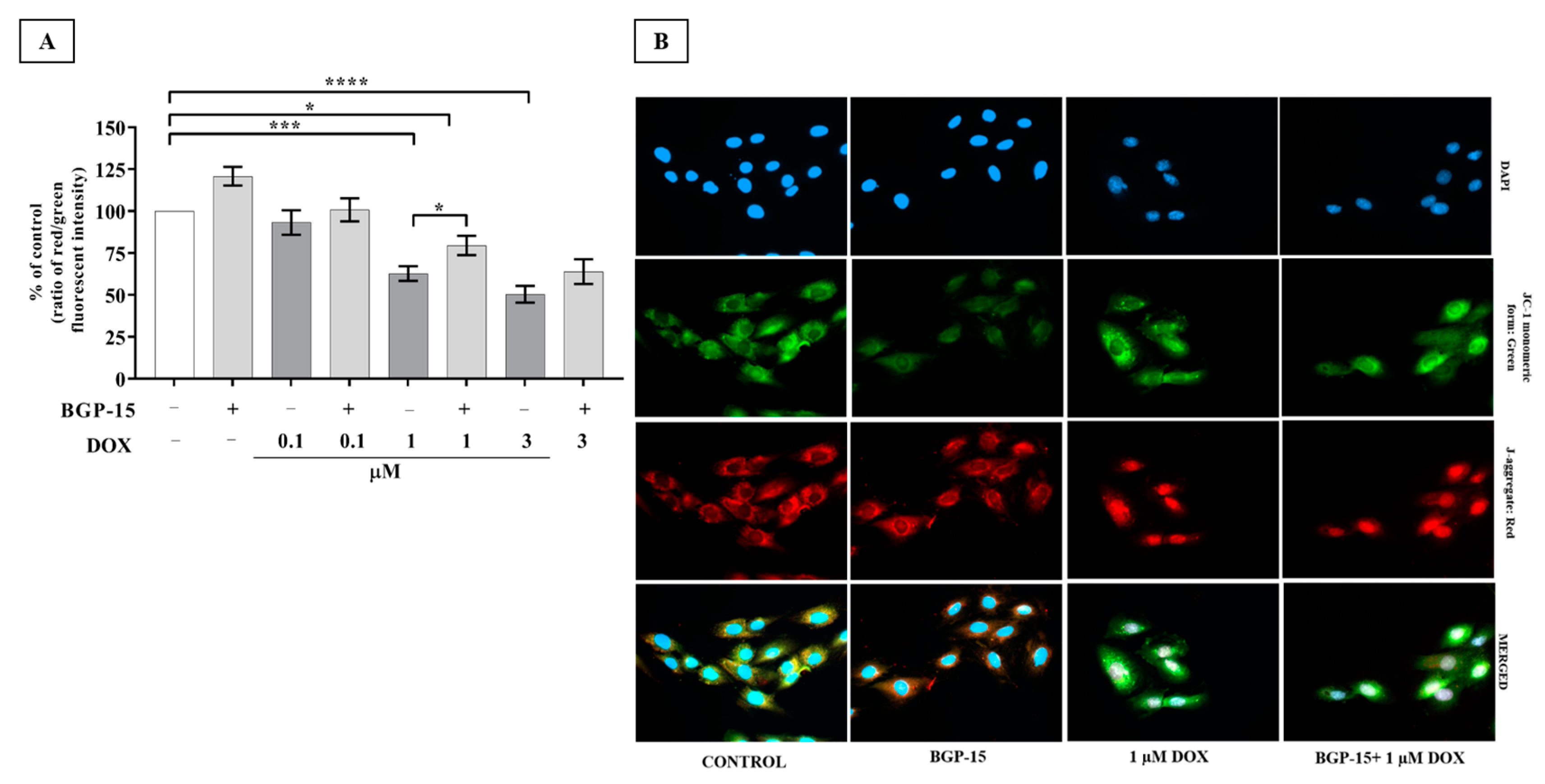 Ijms 24 05269 g003 Ijms 24 05269 g003