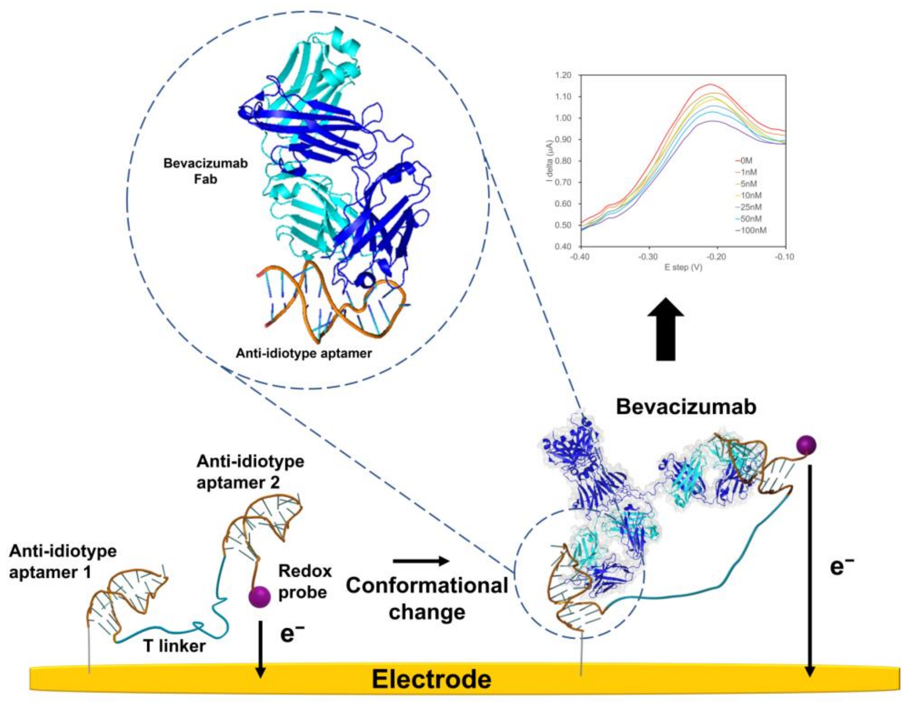 Ijms 24 05277 sch001 Ijms 24 05277 sch001