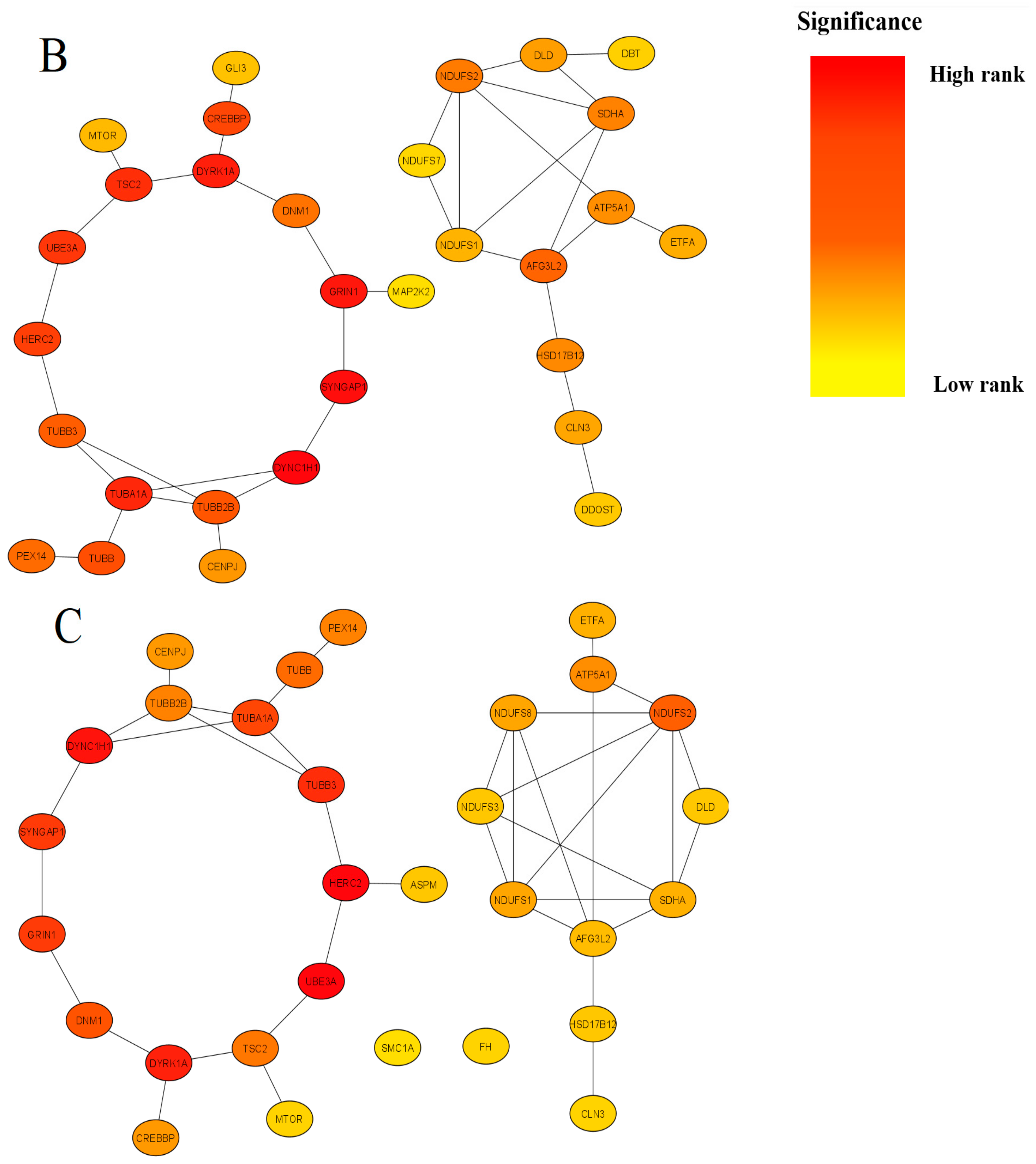 Ijms 24 05280 g002b Ijms 24 05280 g002b