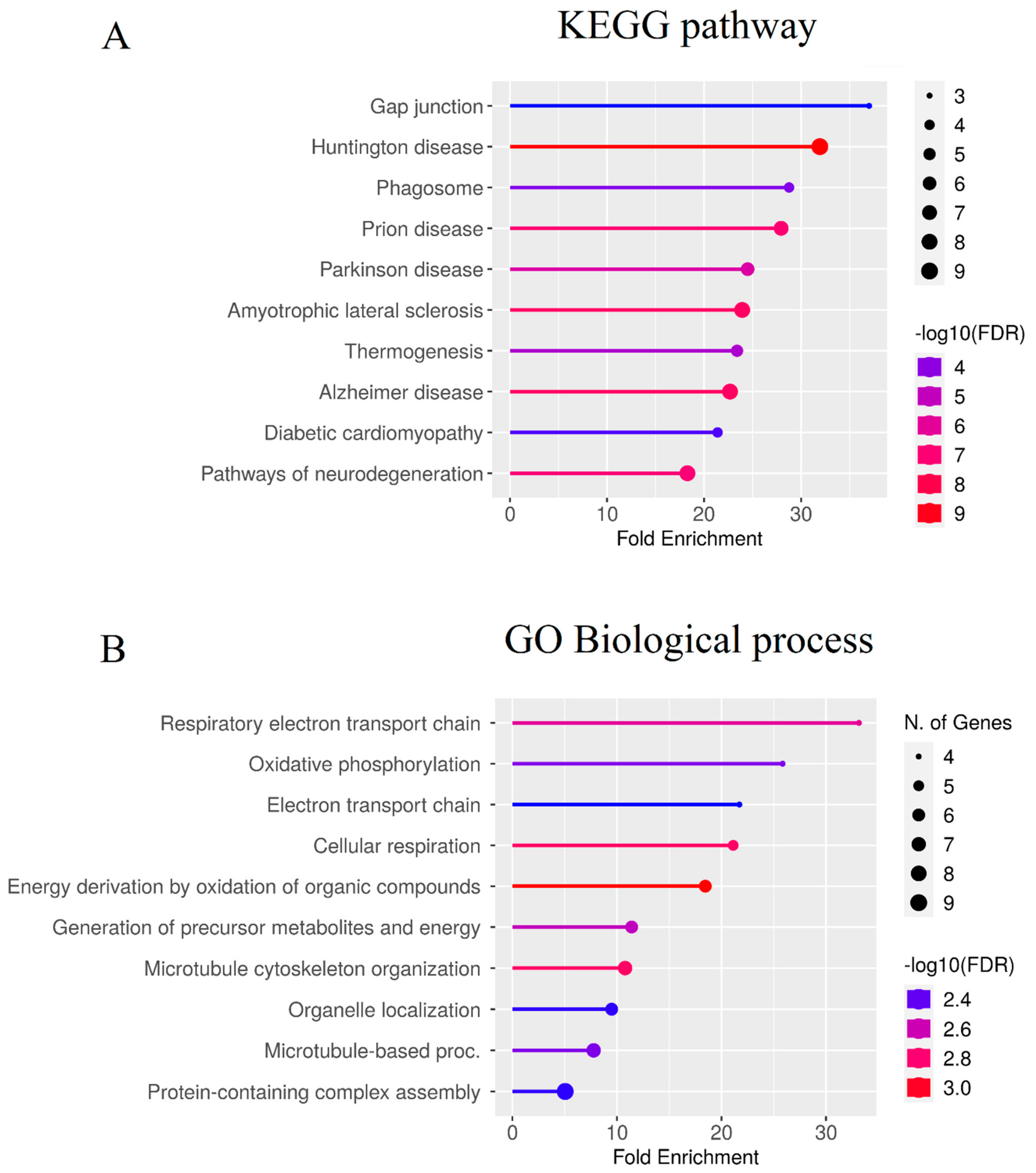 Ijms 24 05280 g003 Ijms 24 05280 g003
