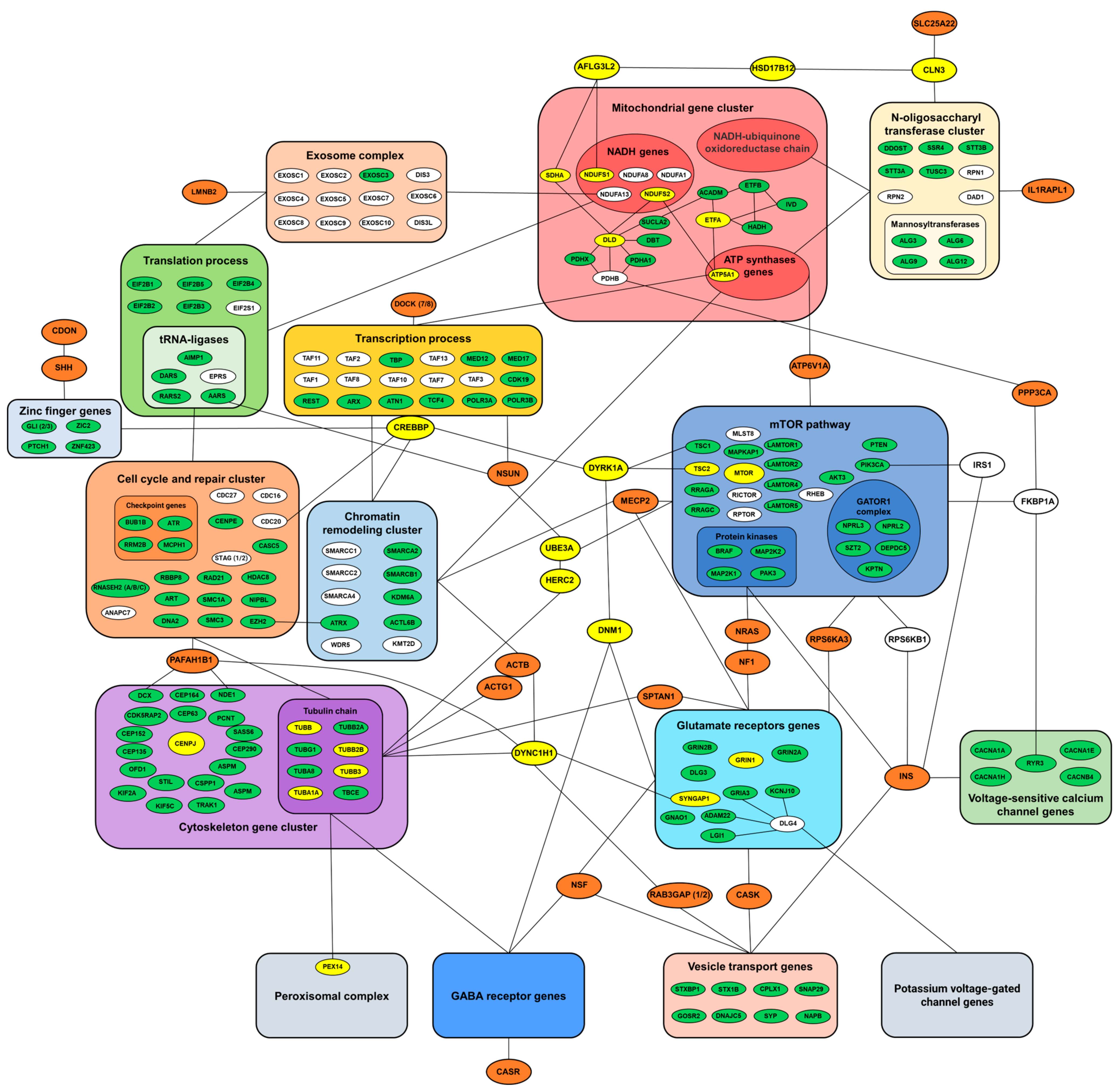 Ijms 24 05280 g004 Ijms 24 05280 g004