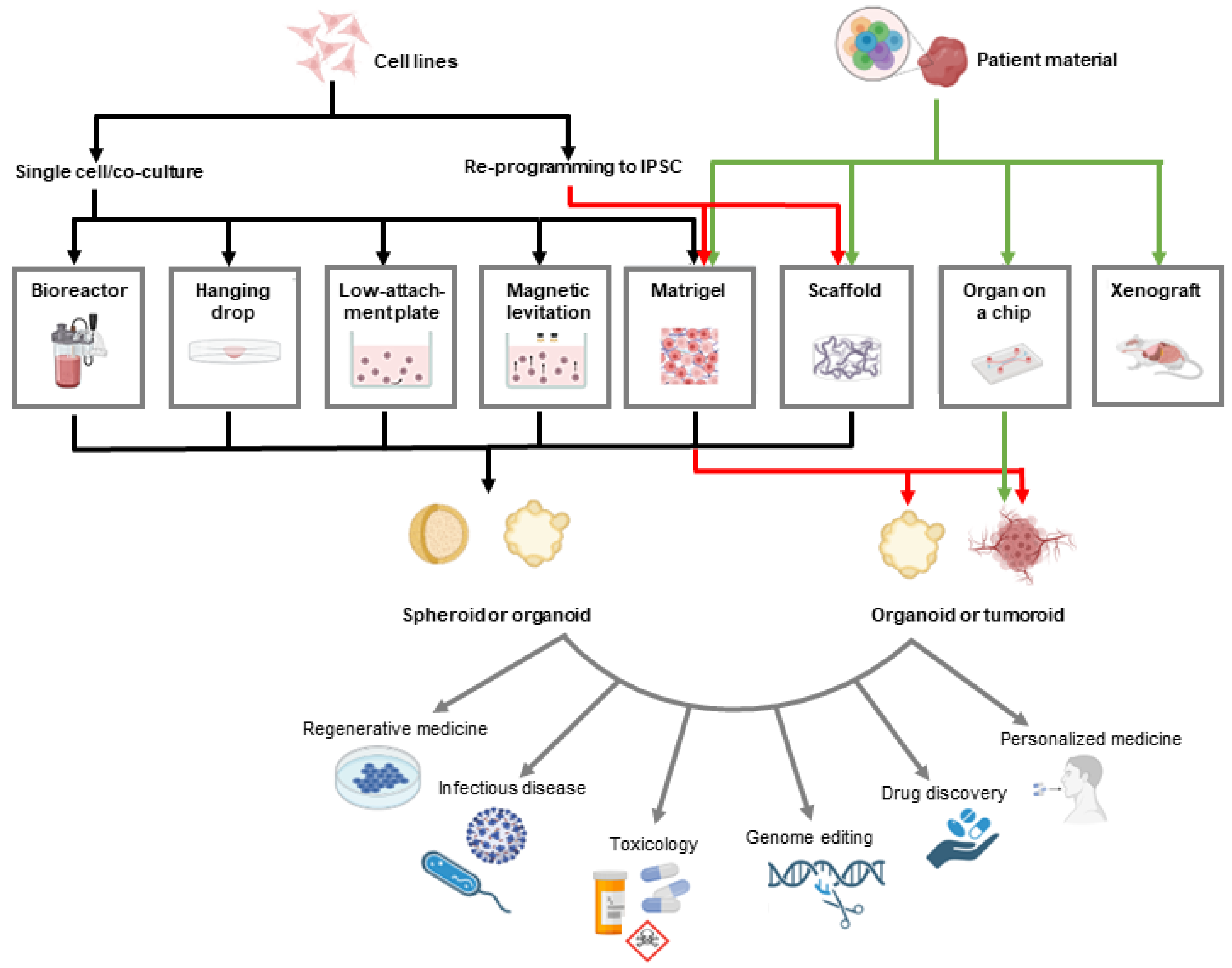 Ijms 24 05293 g001 Ijms 24 05293 g001