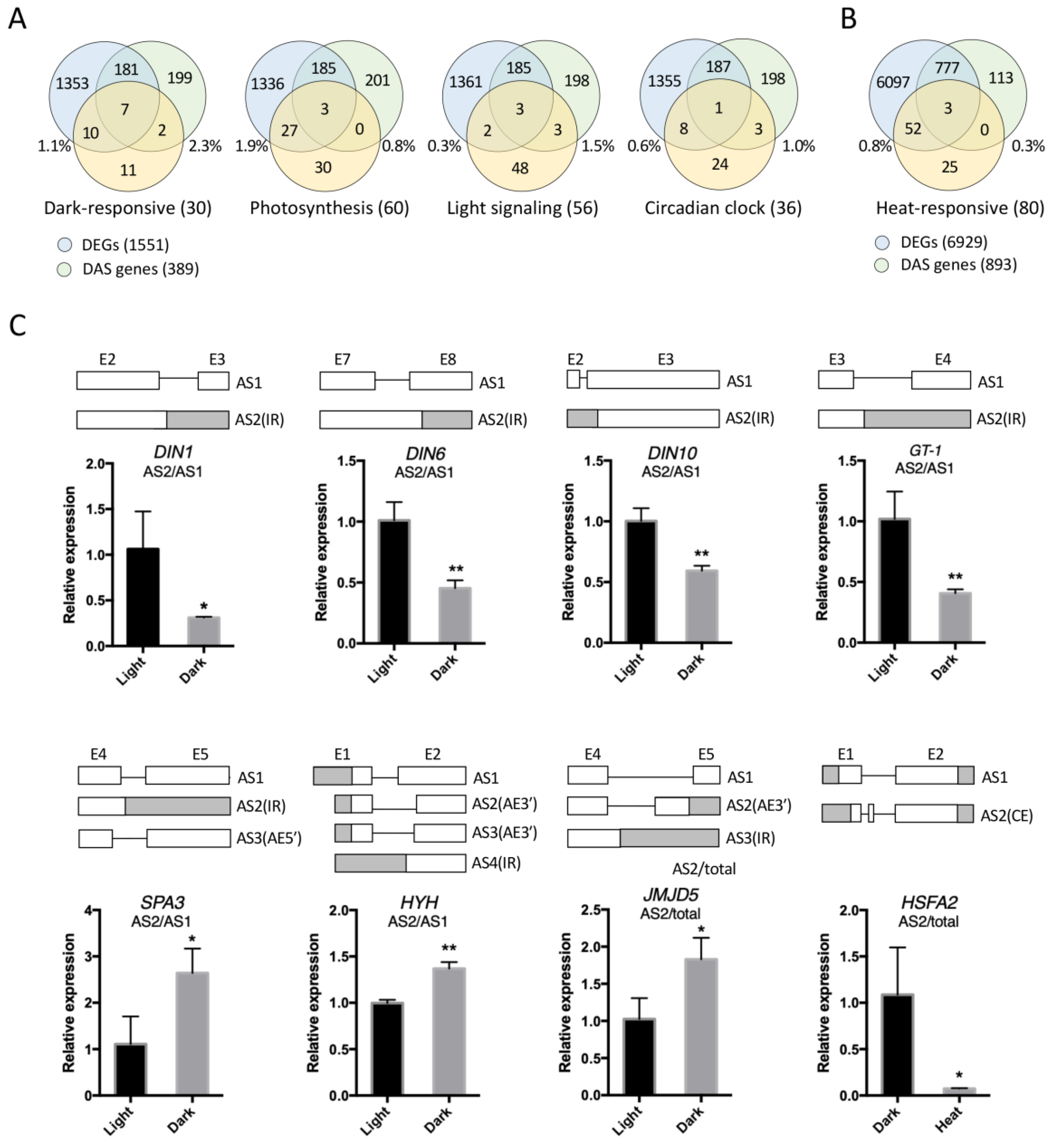 Ijms 24 05299 g003 Ijms 24 05299 g003
