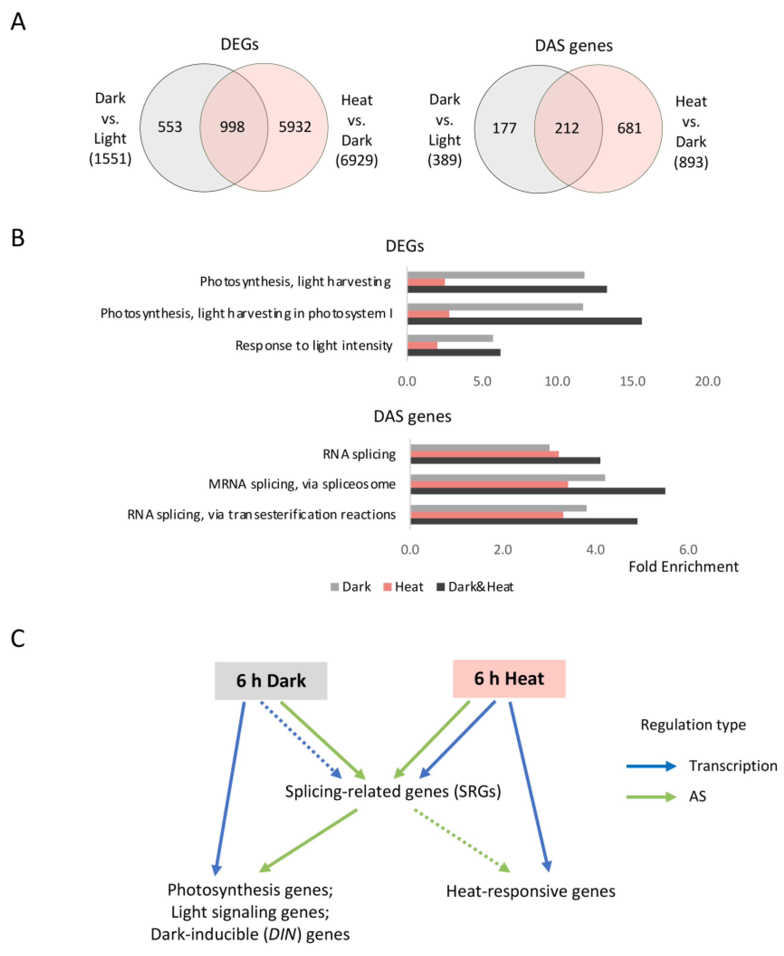 Ijms 24 05299 g004 Ijms 24 05299 g004