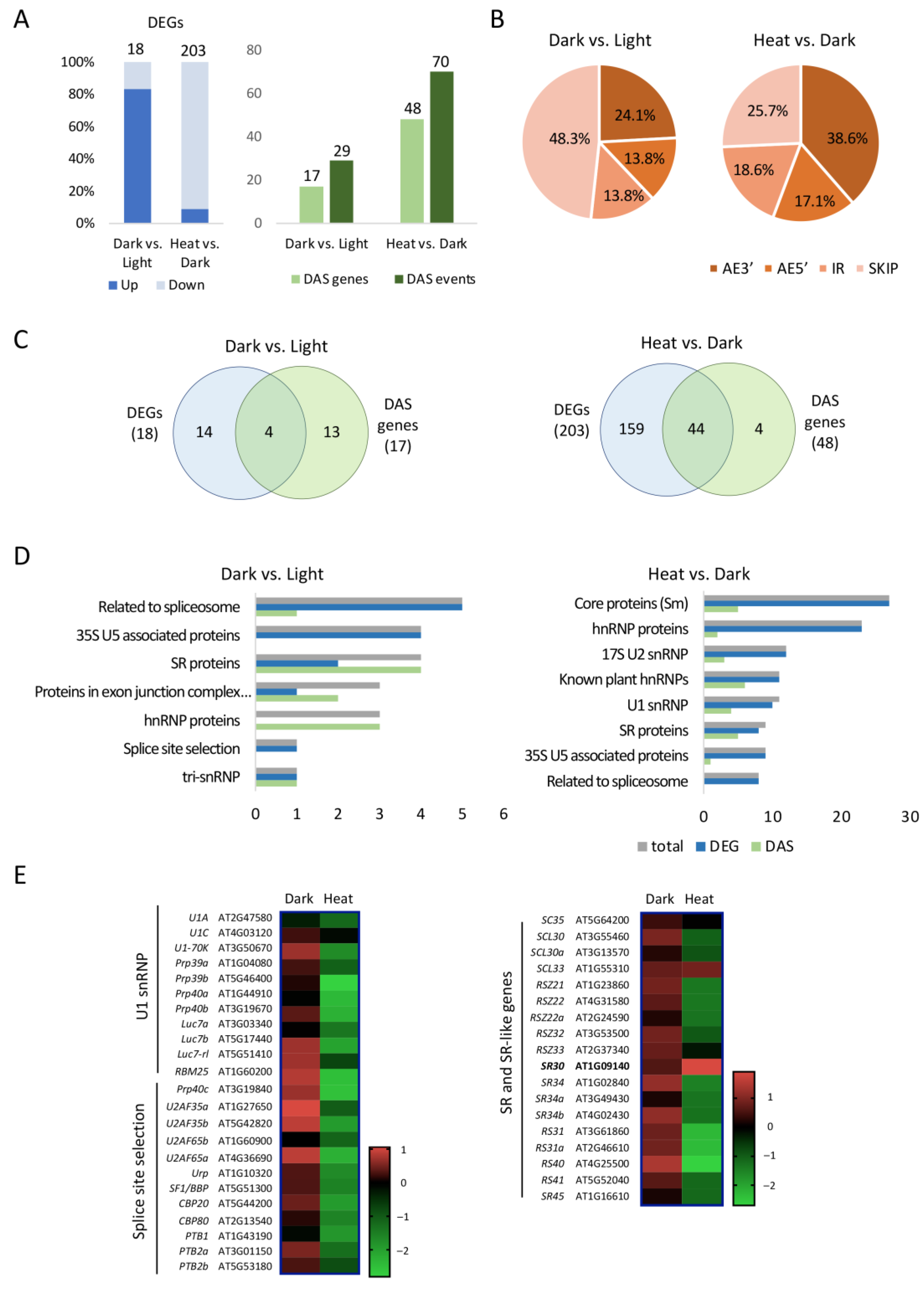 Ijms 24 05299 g005 Ijms 24 05299 g005