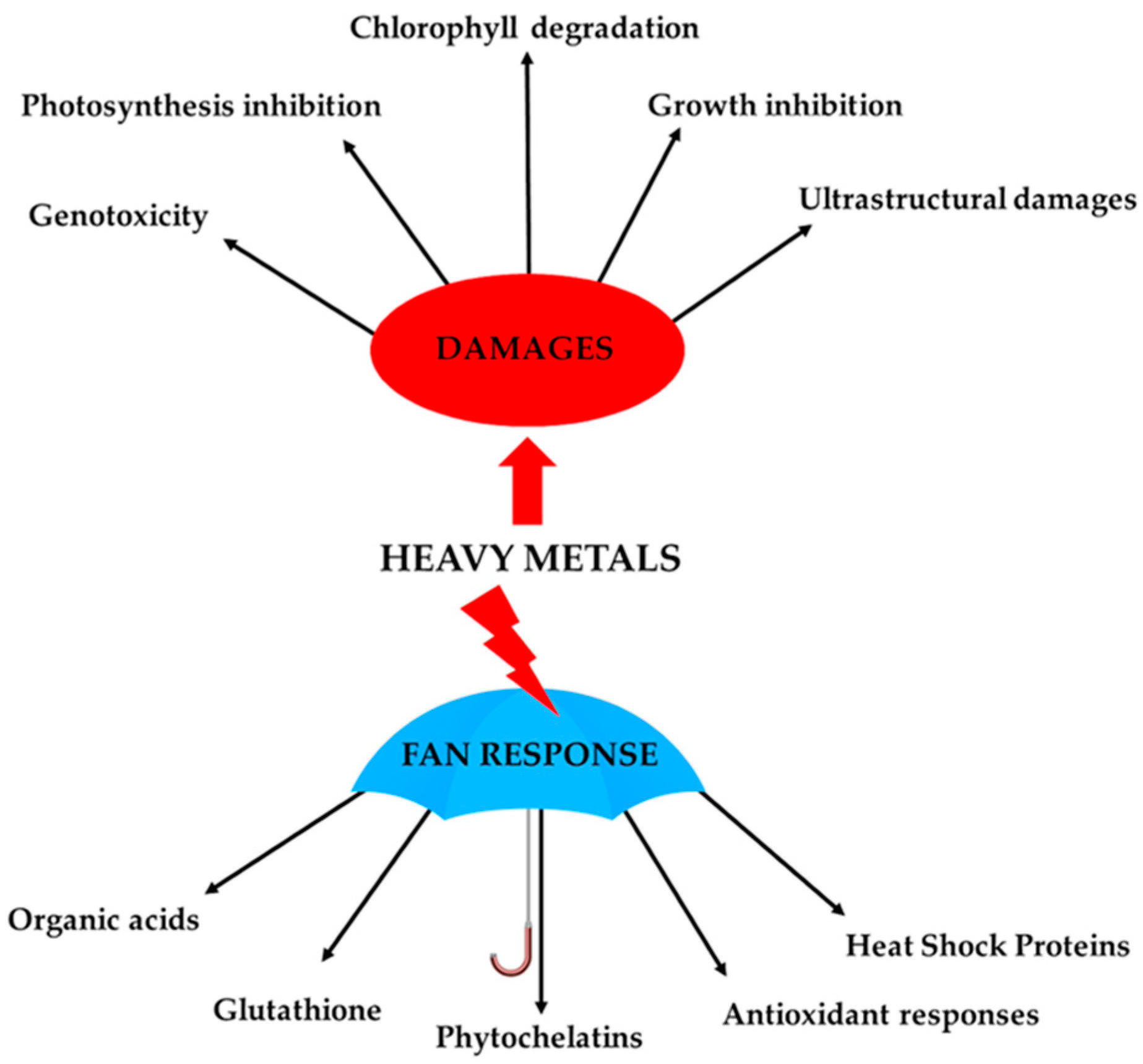Ijms 24 05302 g001 Ijms 24 05302 g001
