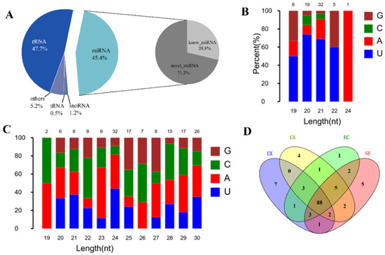 Construction of ceRNA Networks at Different Stages of