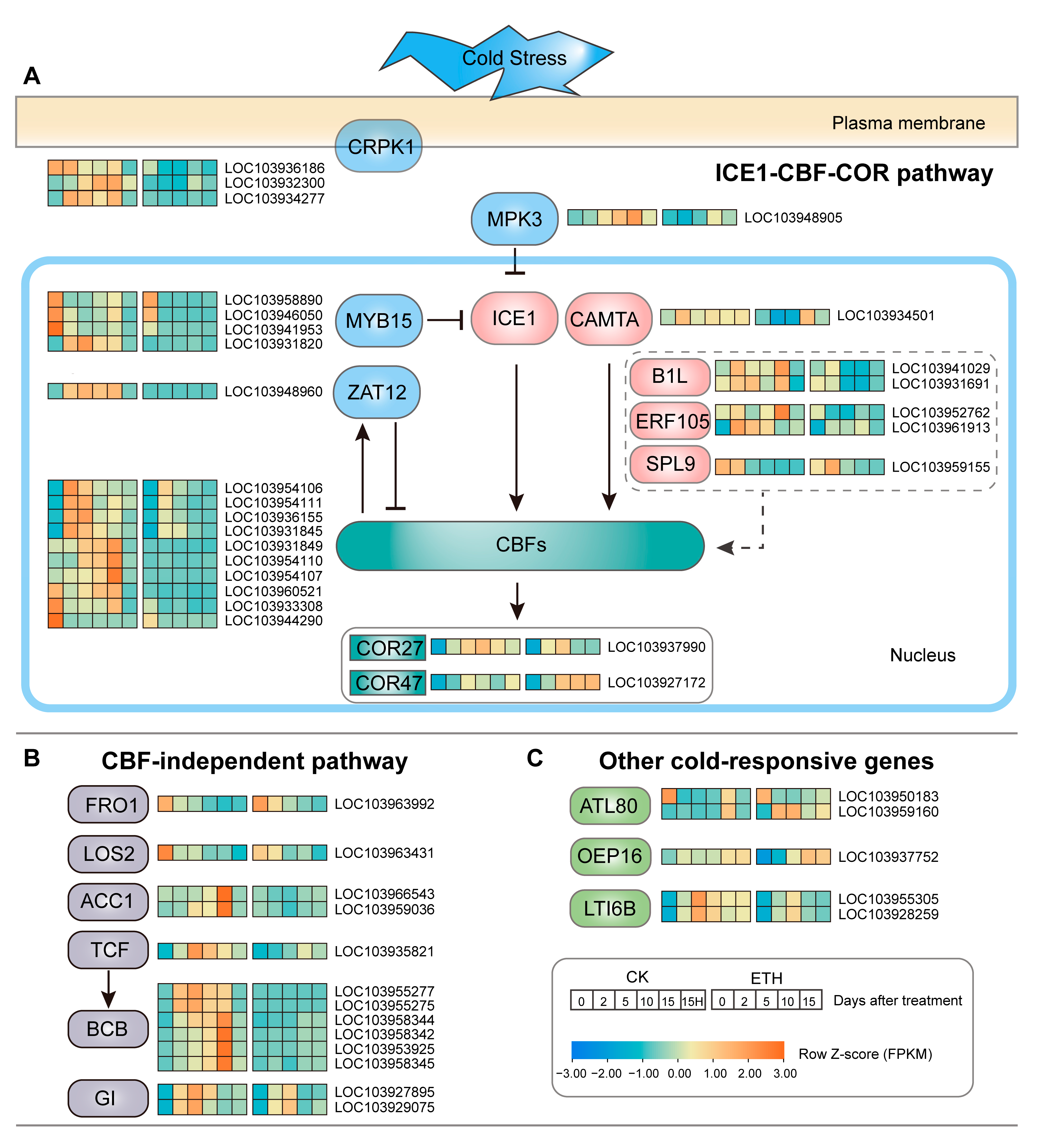 Ijms 24 05326 g004 Ijms 24 05326 g004