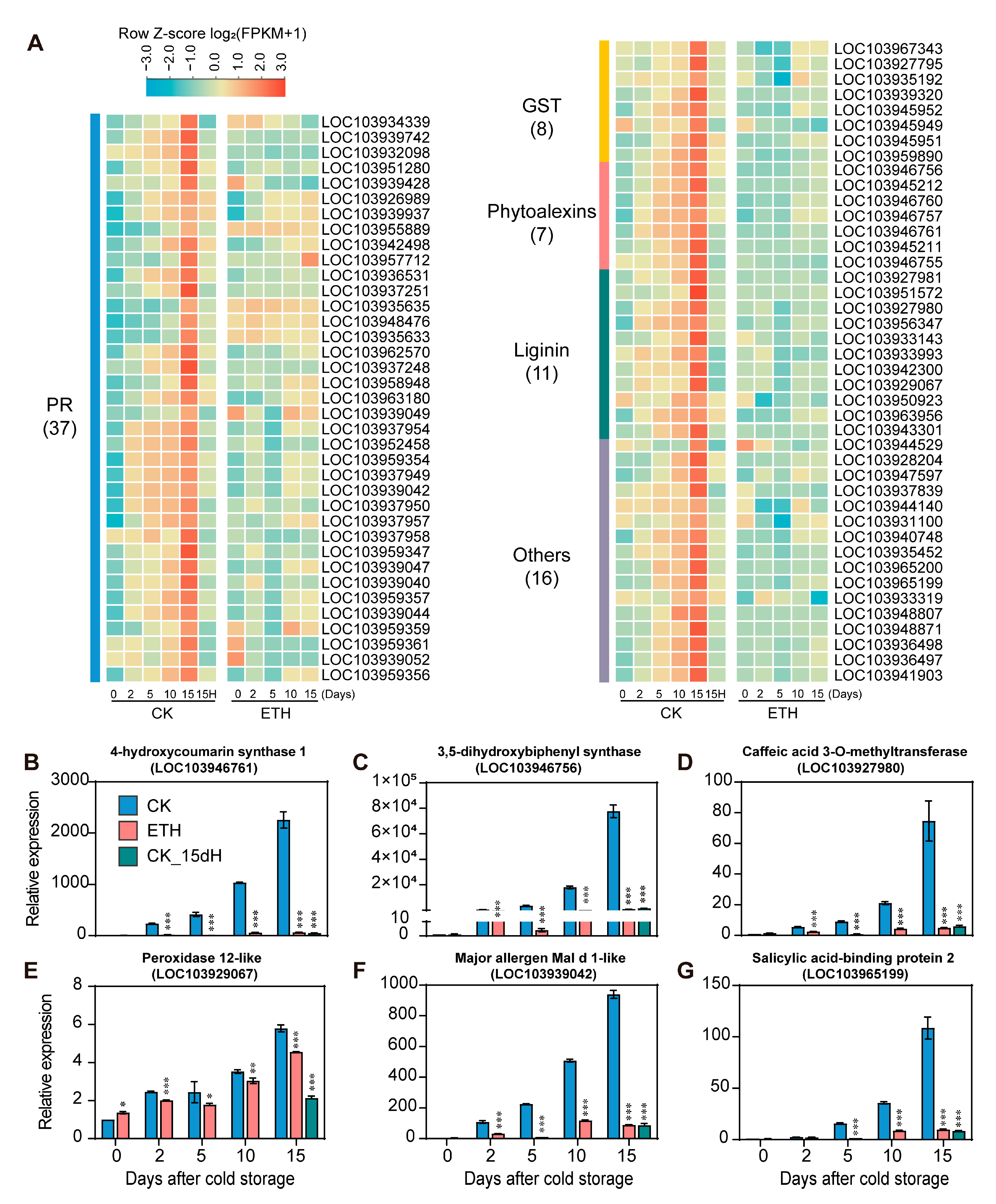 Ijms 24 05326 g006 Ijms 24 05326 g006
