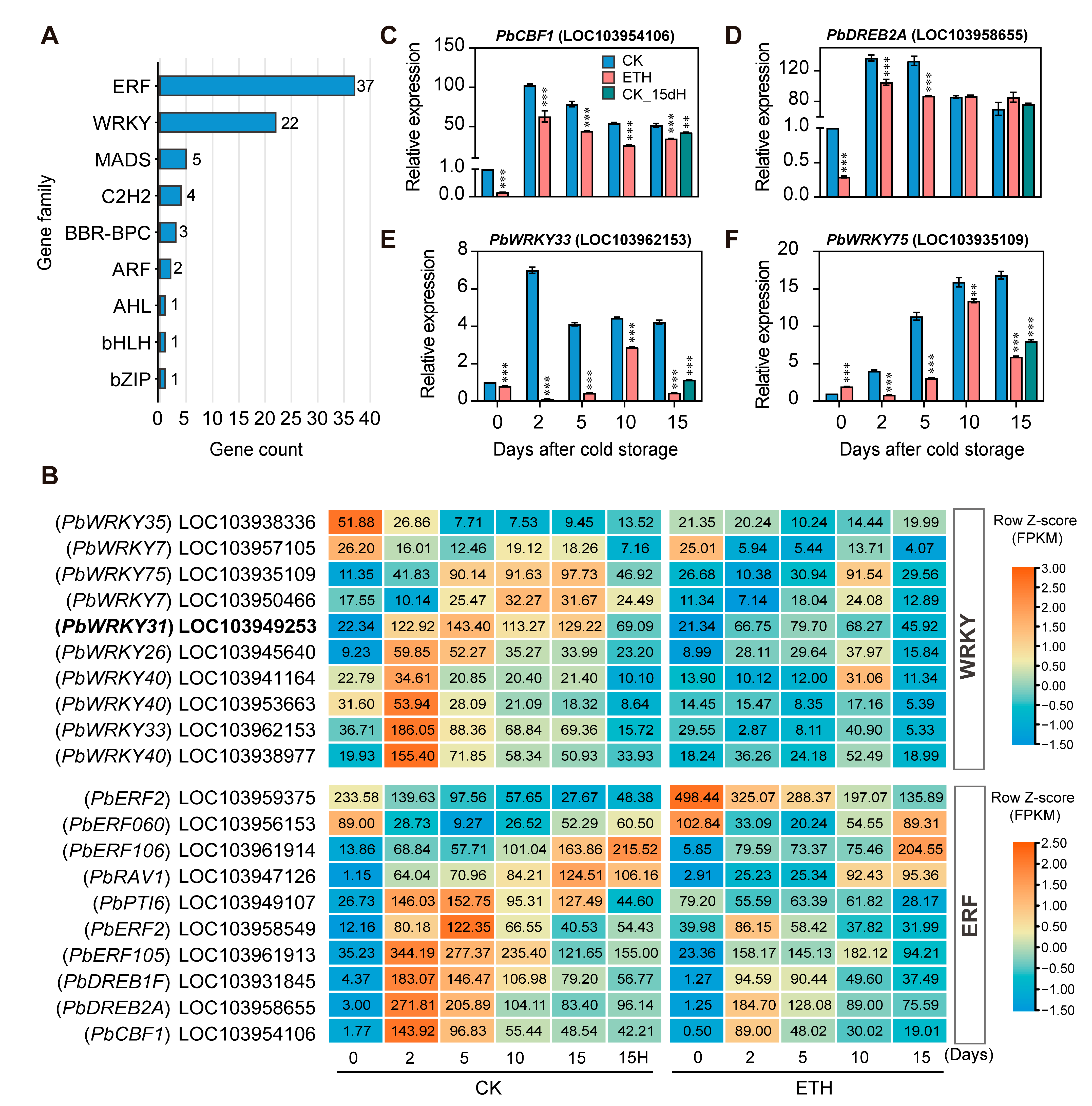 Ijms 24 05326 g007 Ijms 24 05326 g007