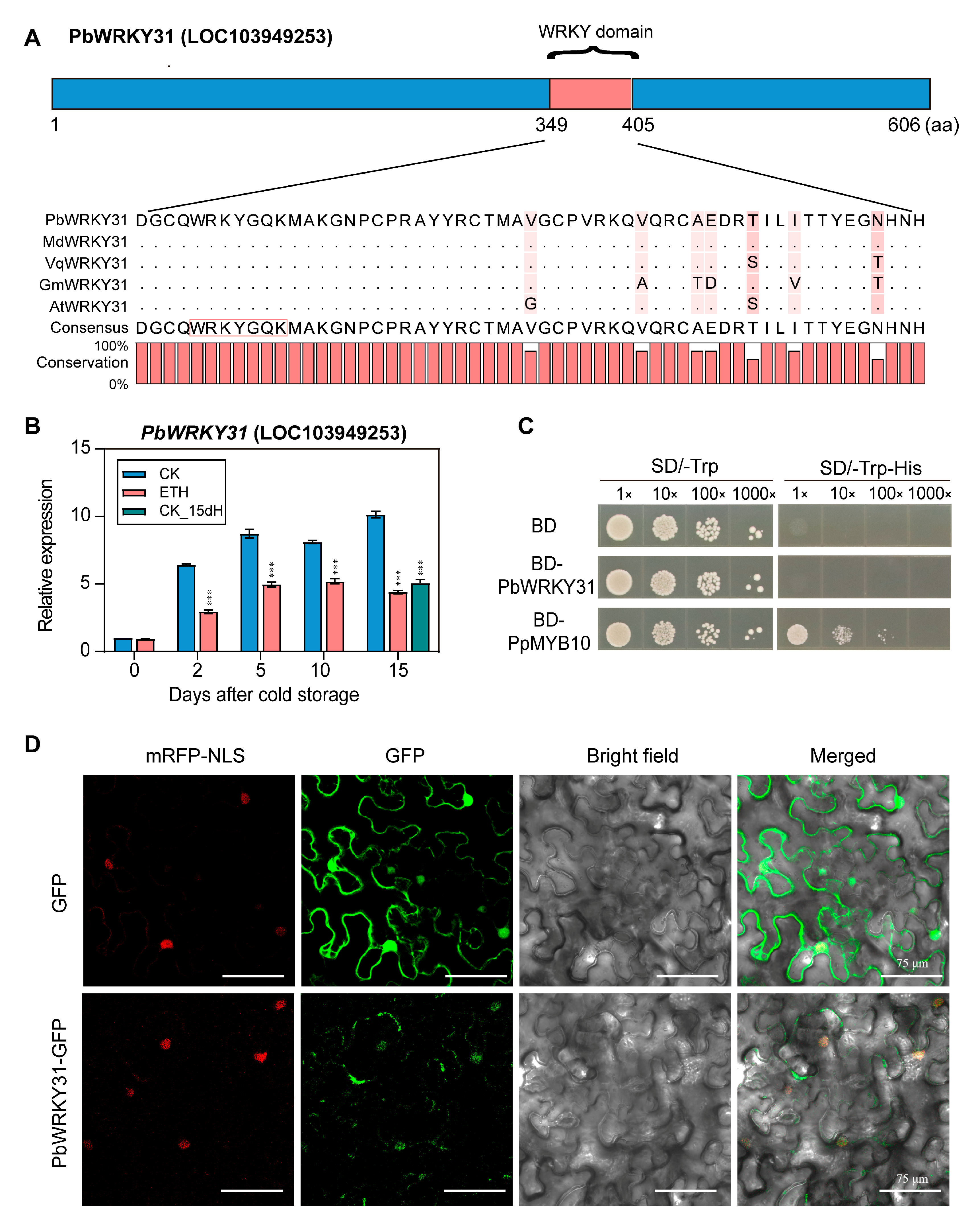 Ijms 24 05326 g008 Ijms 24 05326 g008