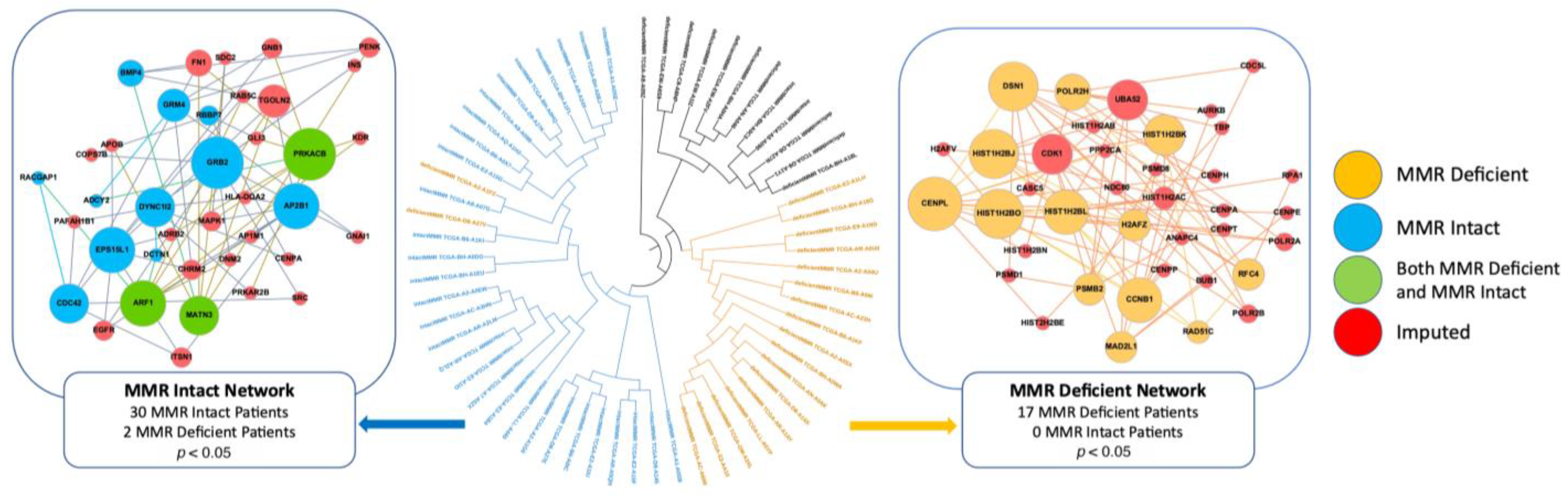 Ijms 24 05327 g001 Ijms 24 05327 g001