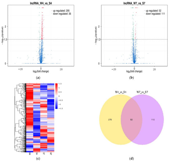 Genome-Wide Analysis of Long Noncoding RNAs in Porcine Genome-Wide Analysis of Long Noncoding RNAs in Porcine