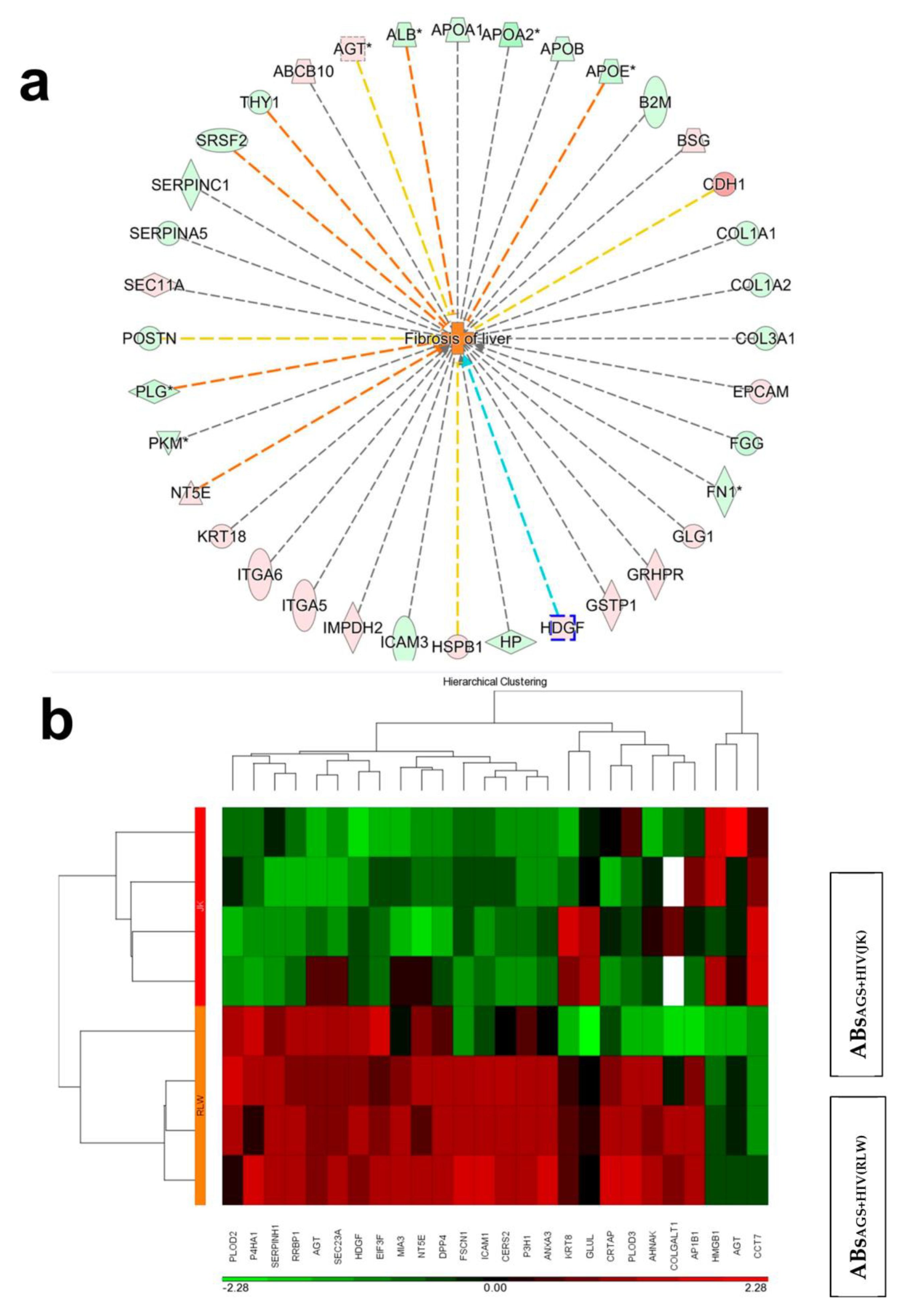 Ijms 24 05346 g004 Ijms 24 05346 g004