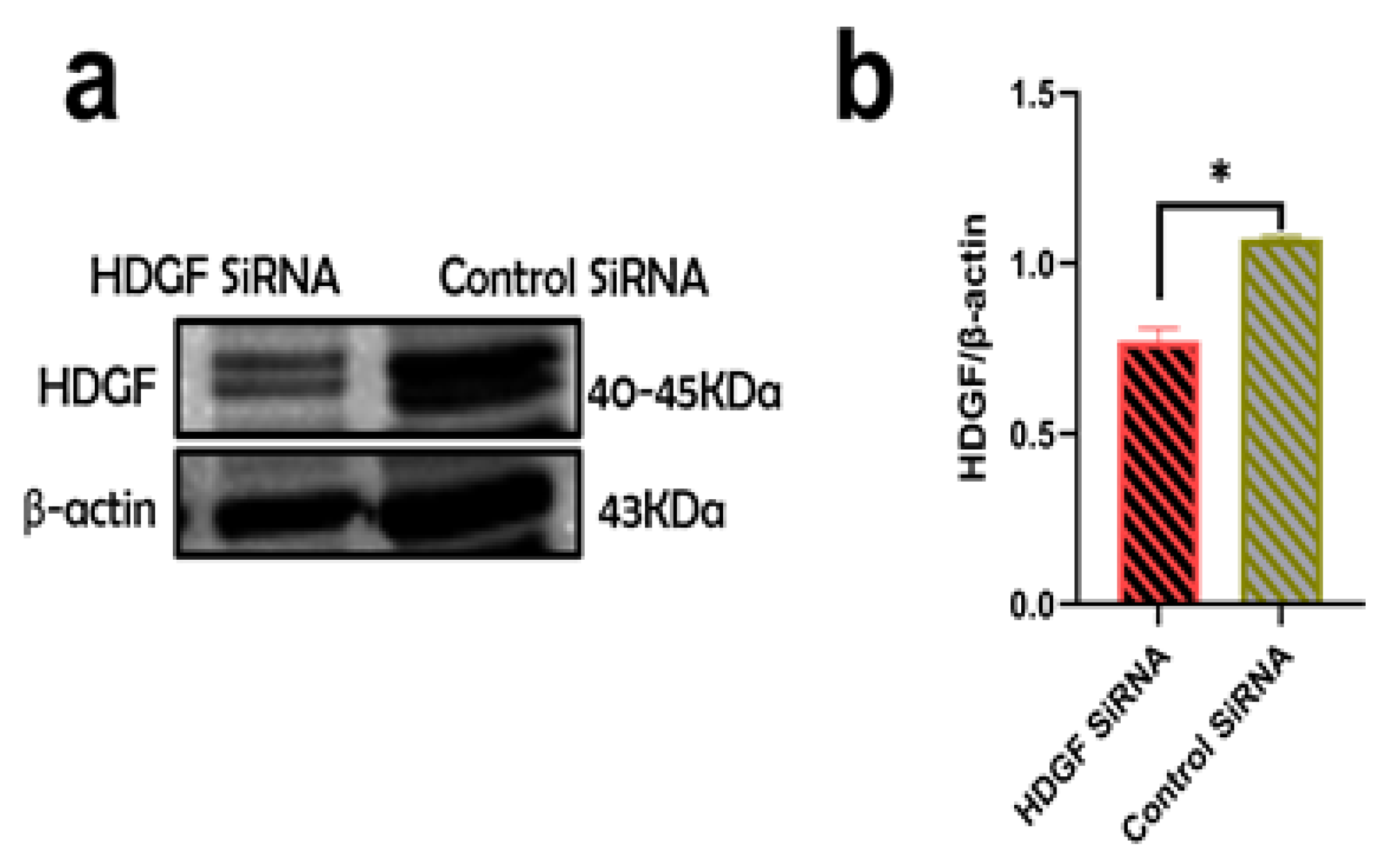 Ijms 24 05346 g005 Ijms 24 05346 g005