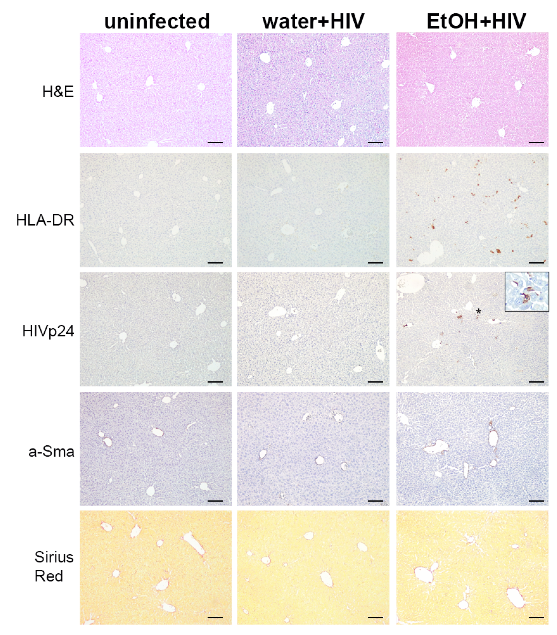 Ijms 24 05346 g008 Ijms 24 05346 g008