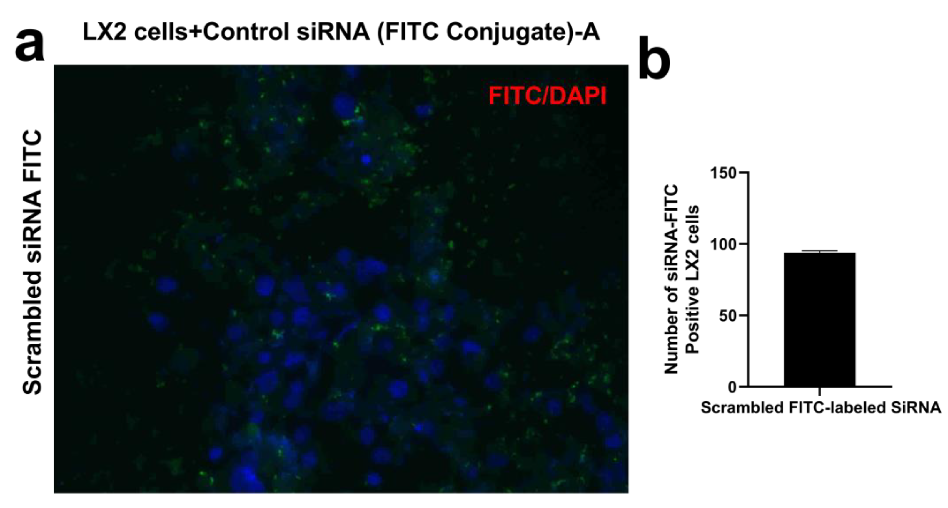 Ijms 24 05346 g009 Ijms 24 05346 g009
