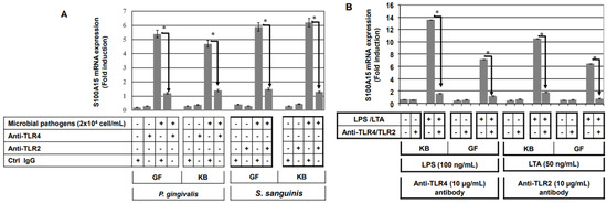 80枚 Hierarchical porous frameworks: Nitrogen-doped porous carbon
