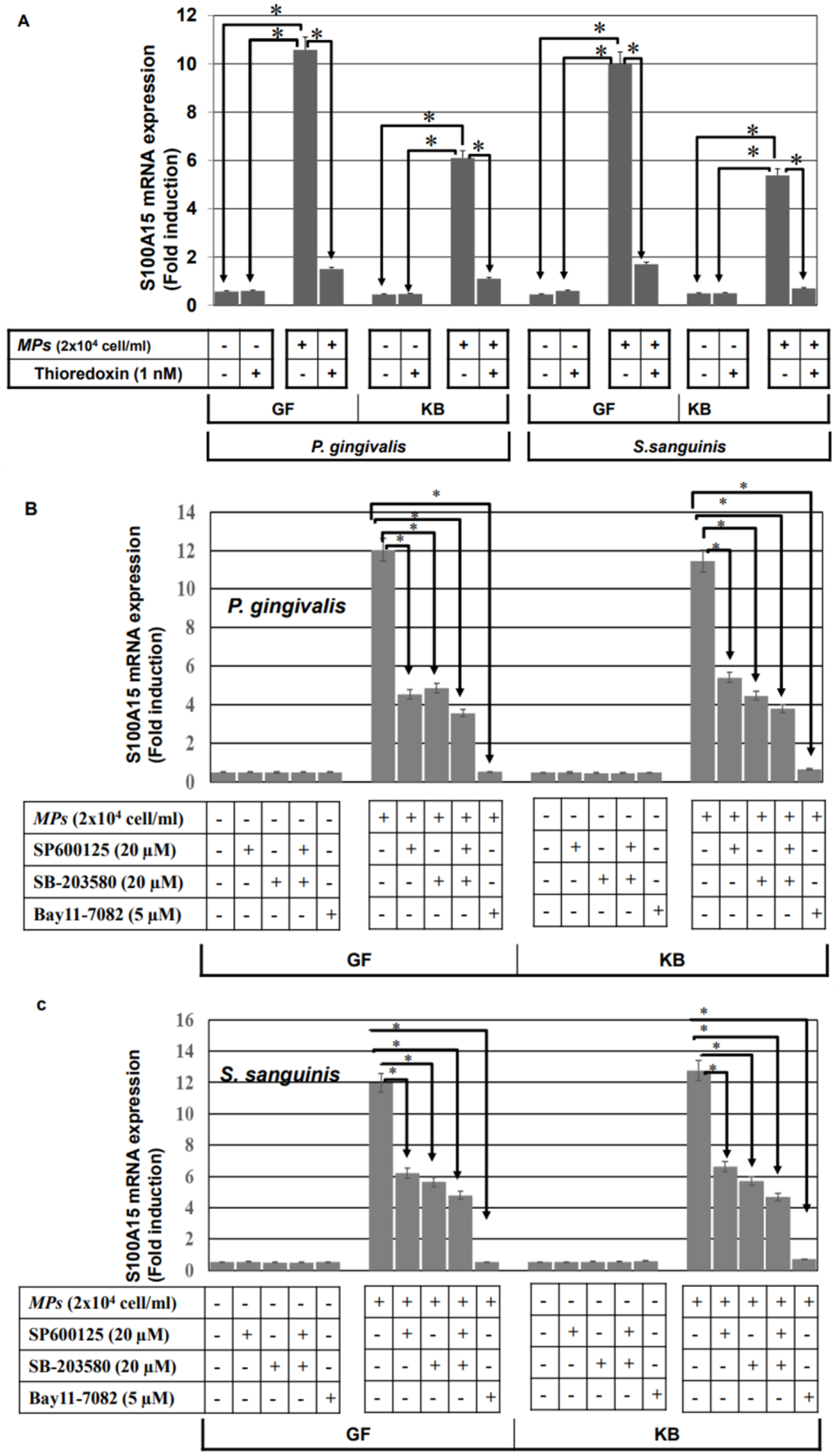 Ijms 24 05348 g006 Ijms 24 05348 g006