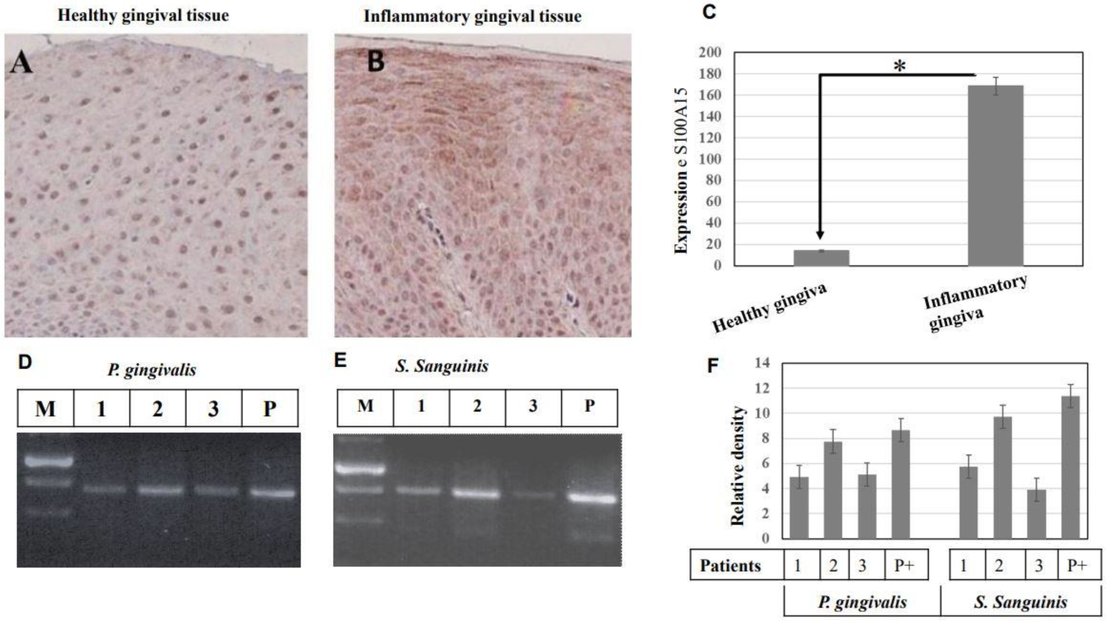 Ijms 24 05348 g007 Ijms 24 05348 g007