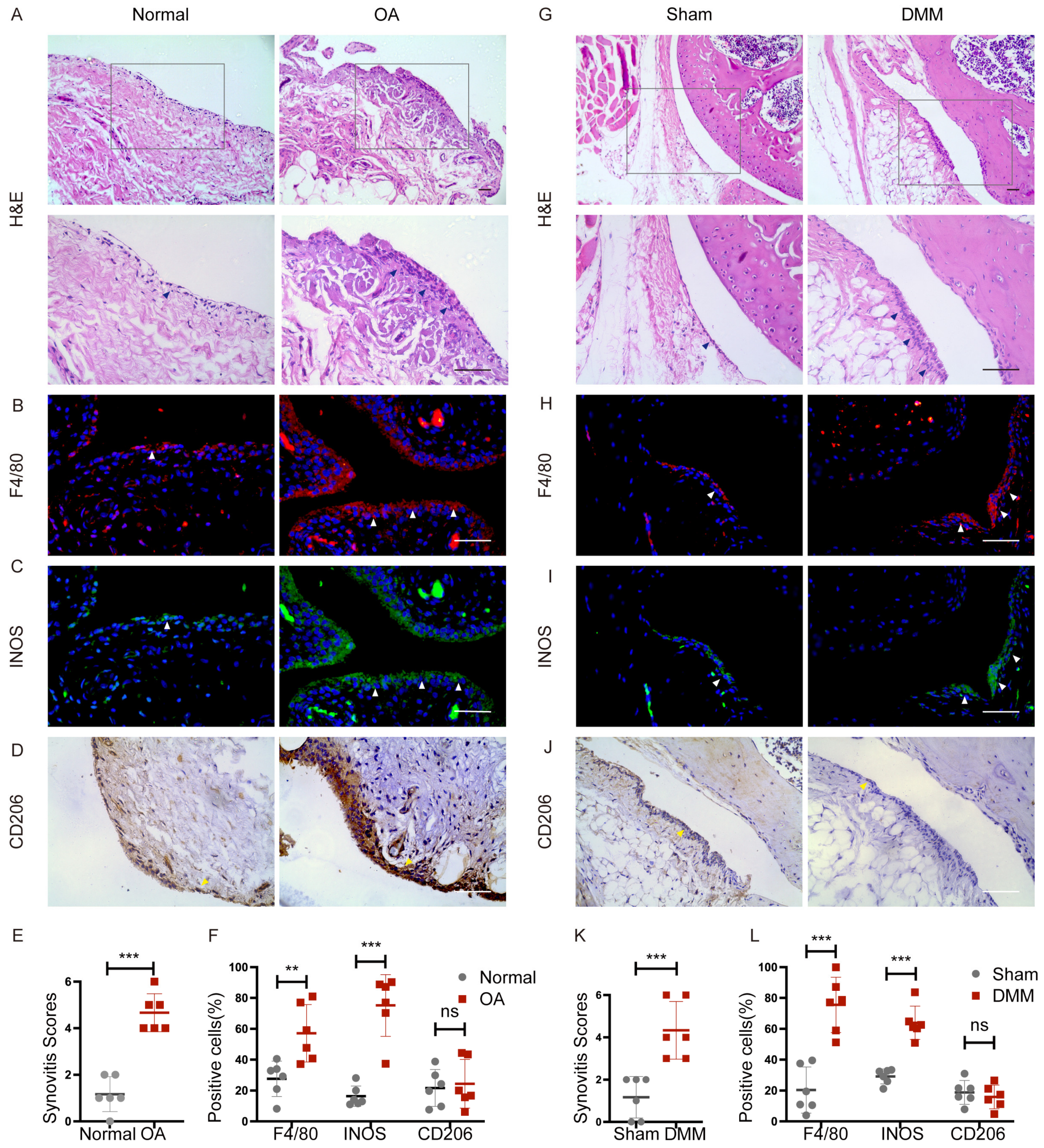 Ijms 24 05355 g001 Ijms 24 05355 g001