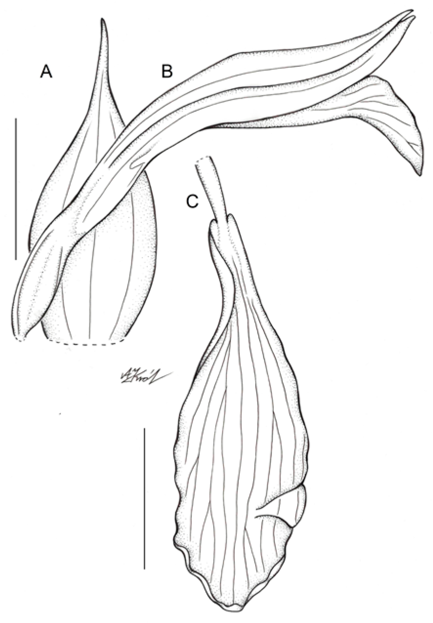 Ijms 24 05362 g004 Ijms 24 05362 g004