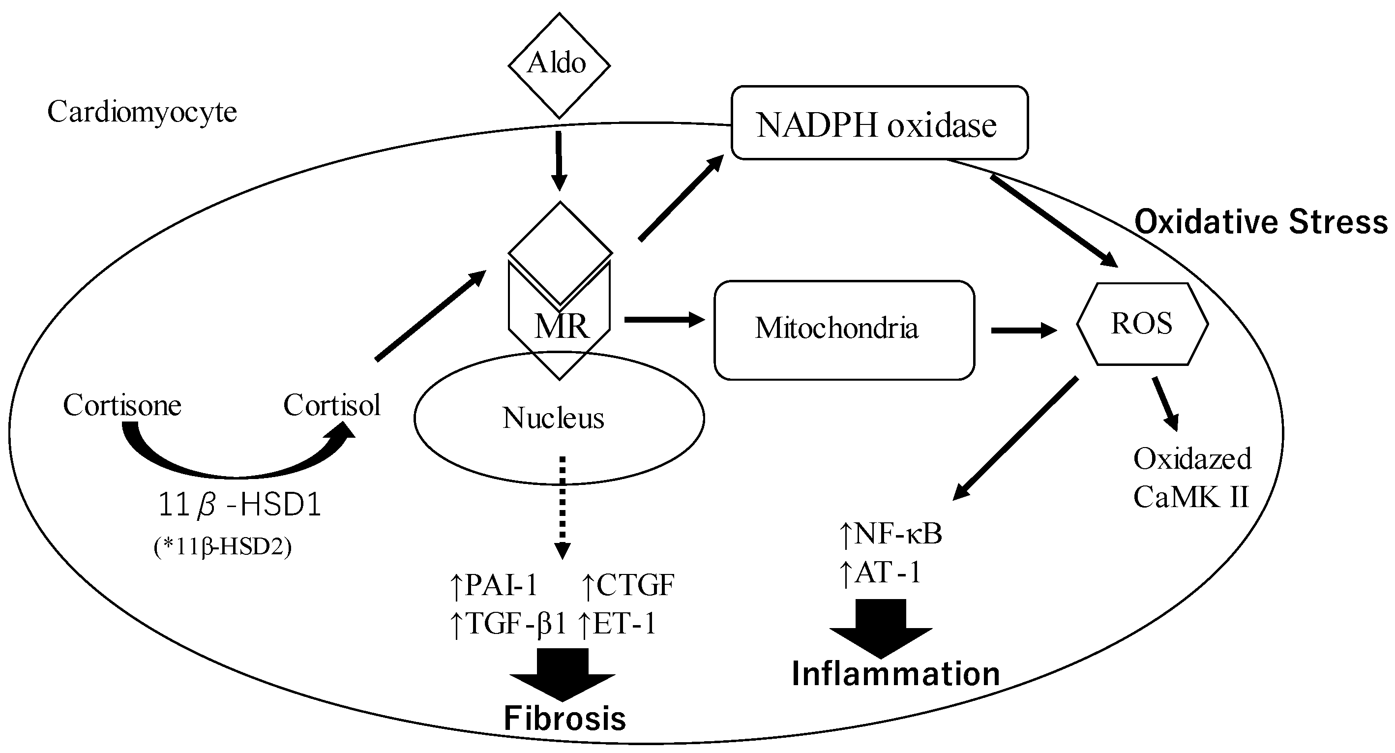 Ijms 24 05370 g001 Ijms 24 05370 g001