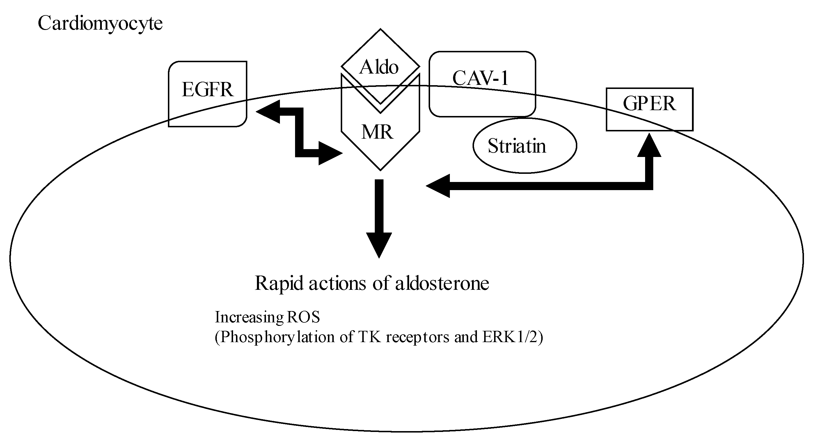 Ijms 24 05370 g002 Ijms 24 05370 g002