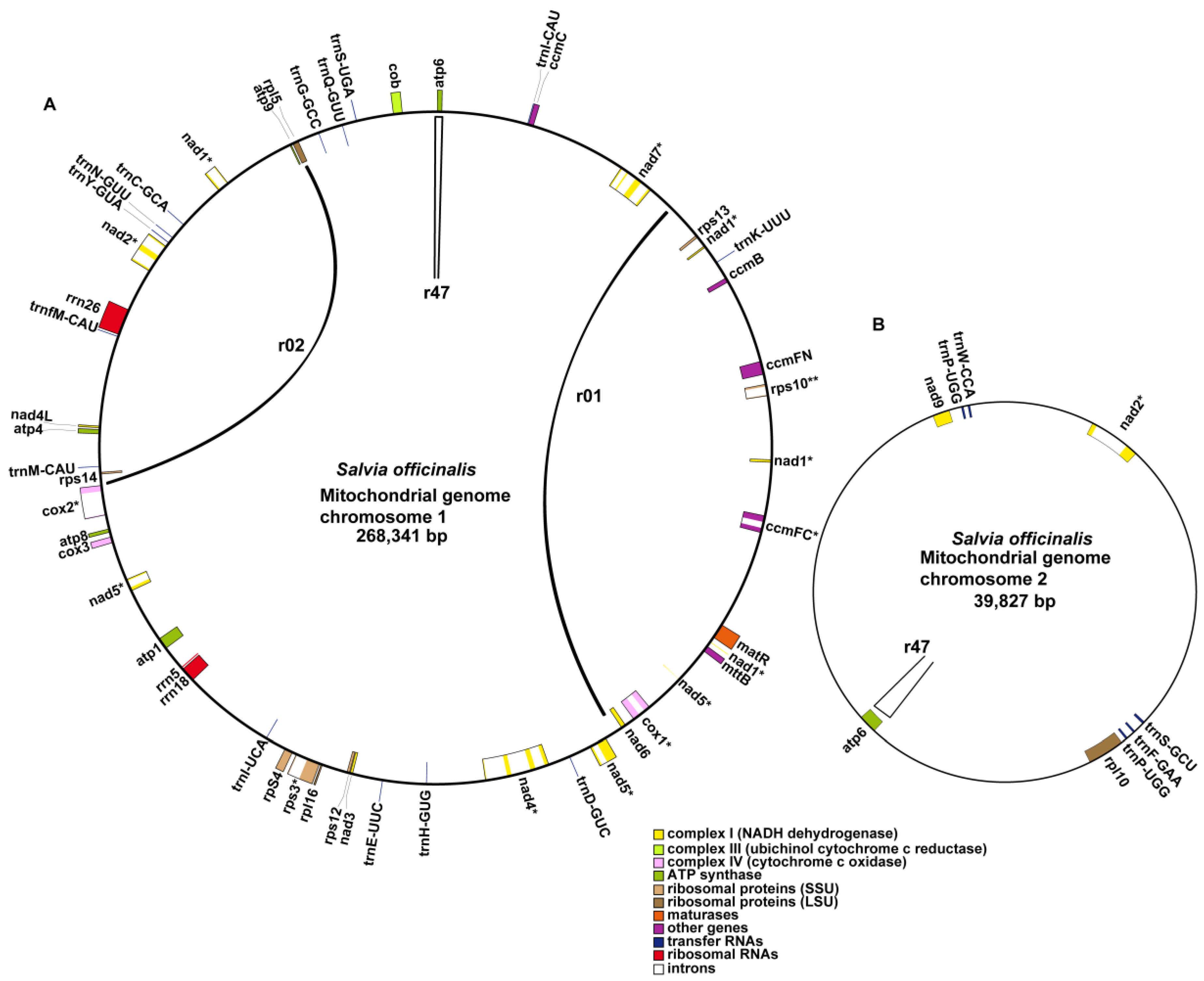 Ijms 24 05372 g004 Ijms 24 05372 g004
