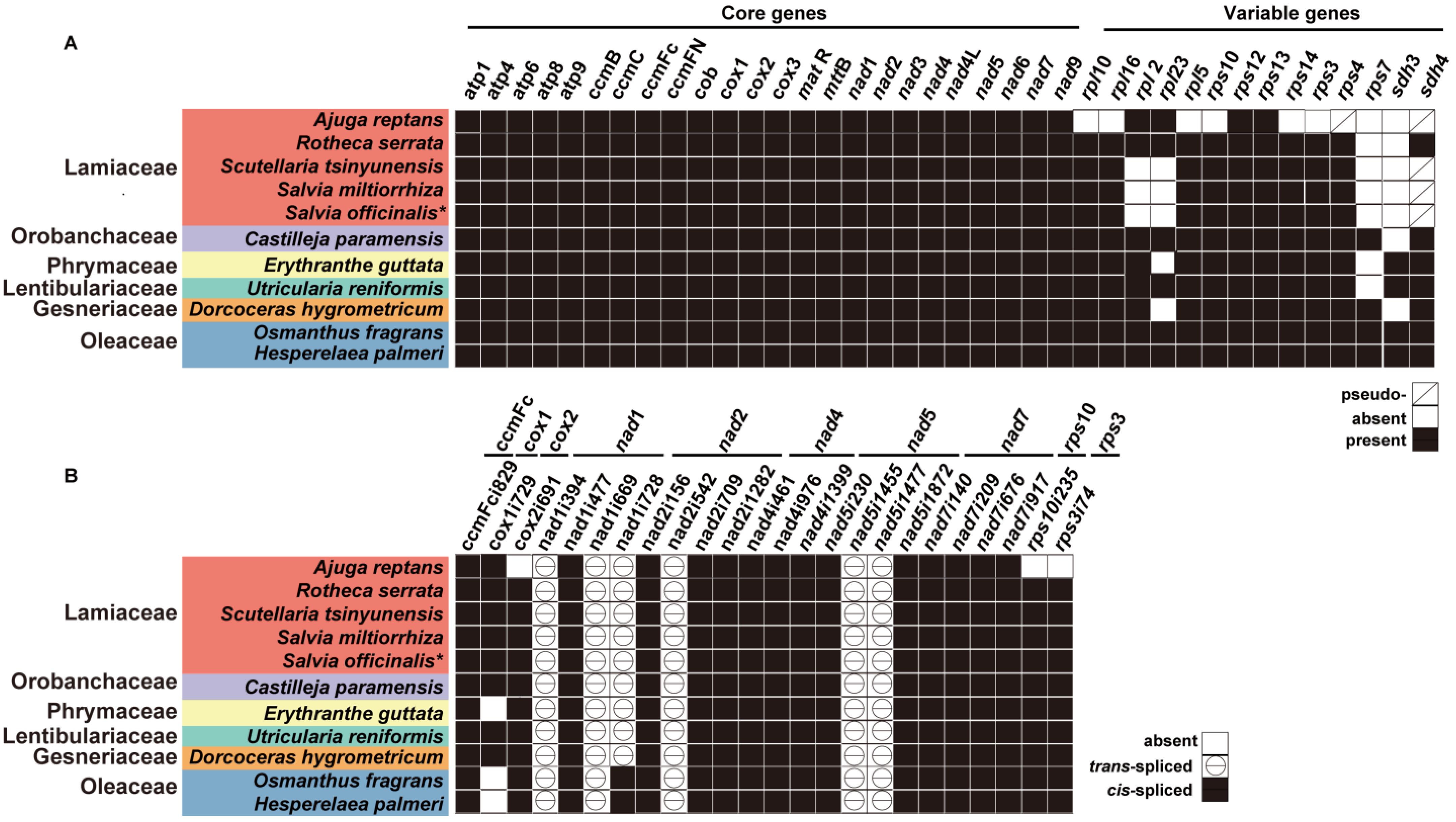 Ijms 24 05372 g005 Ijms 24 05372 g005
