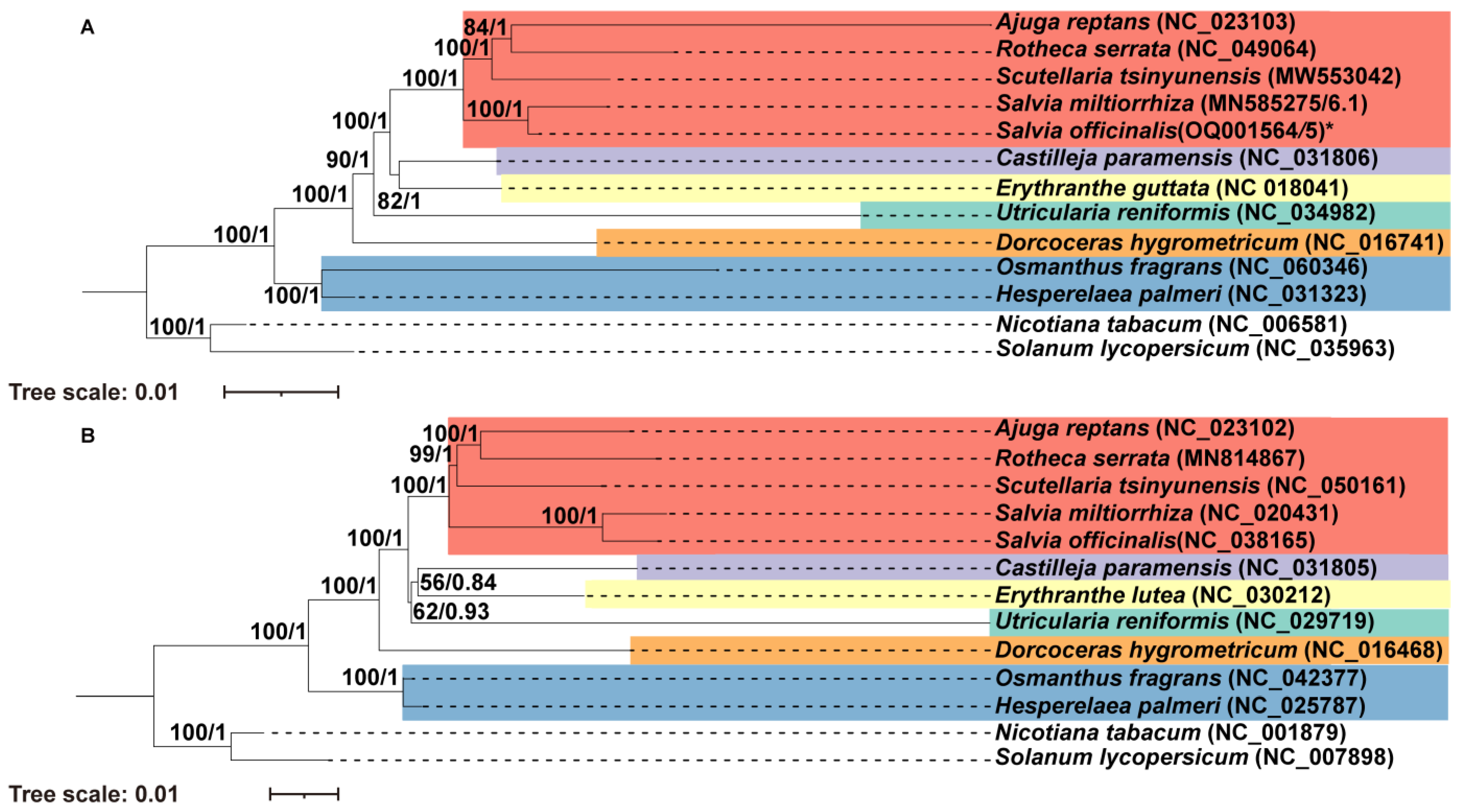 Ijms 24 05372 g008 Ijms 24 05372 g008