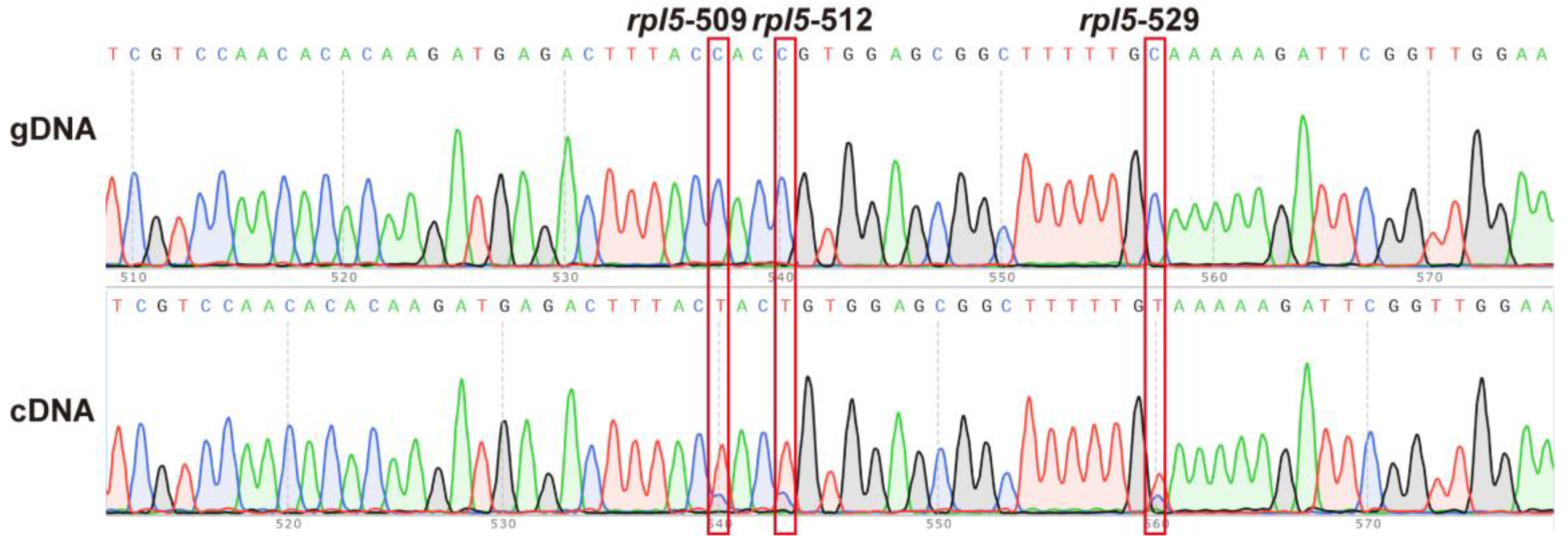 Ijms 24 05372 g009 Ijms 24 05372 g009