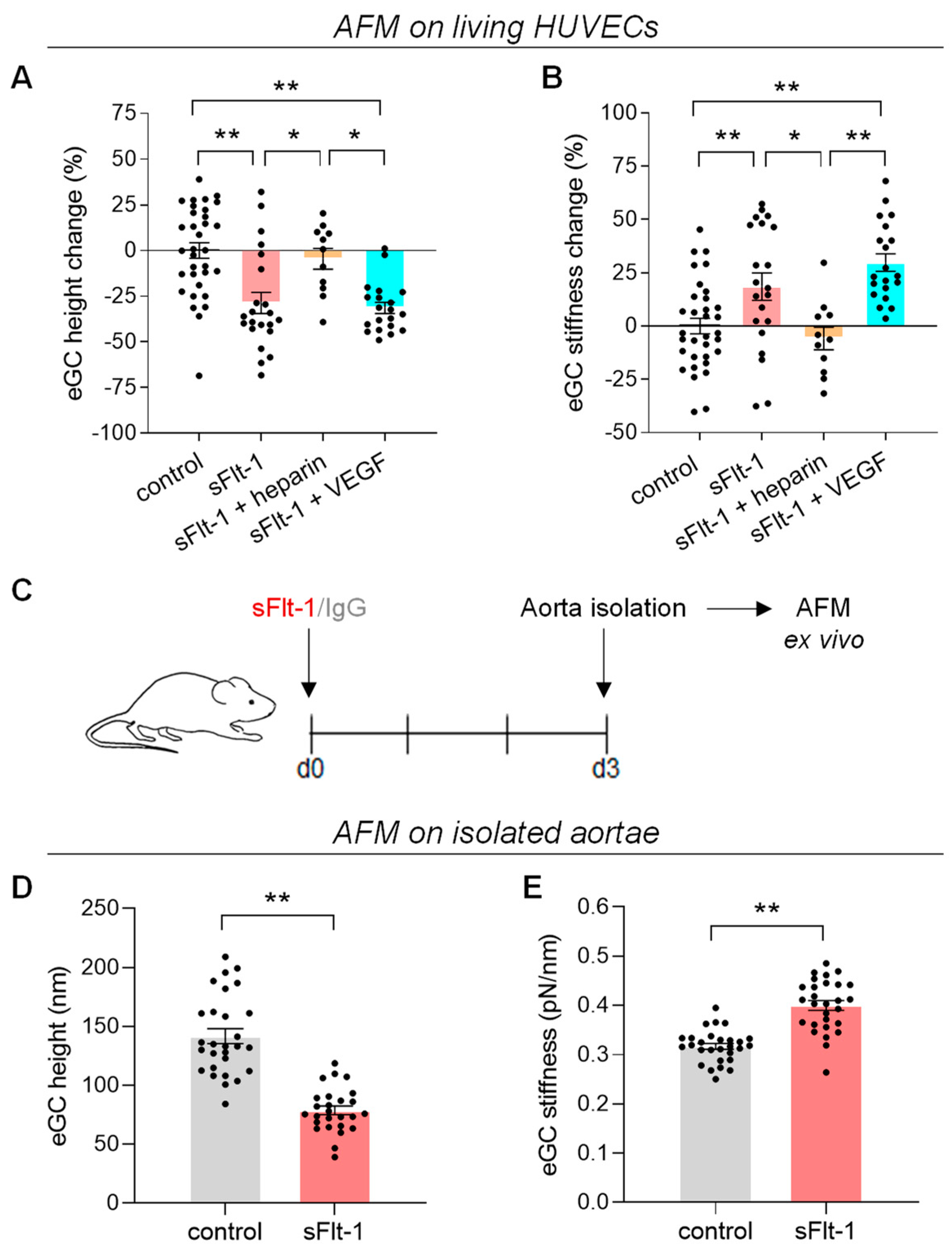 Ijms 24 05380 g001 Ijms 24 05380 g001