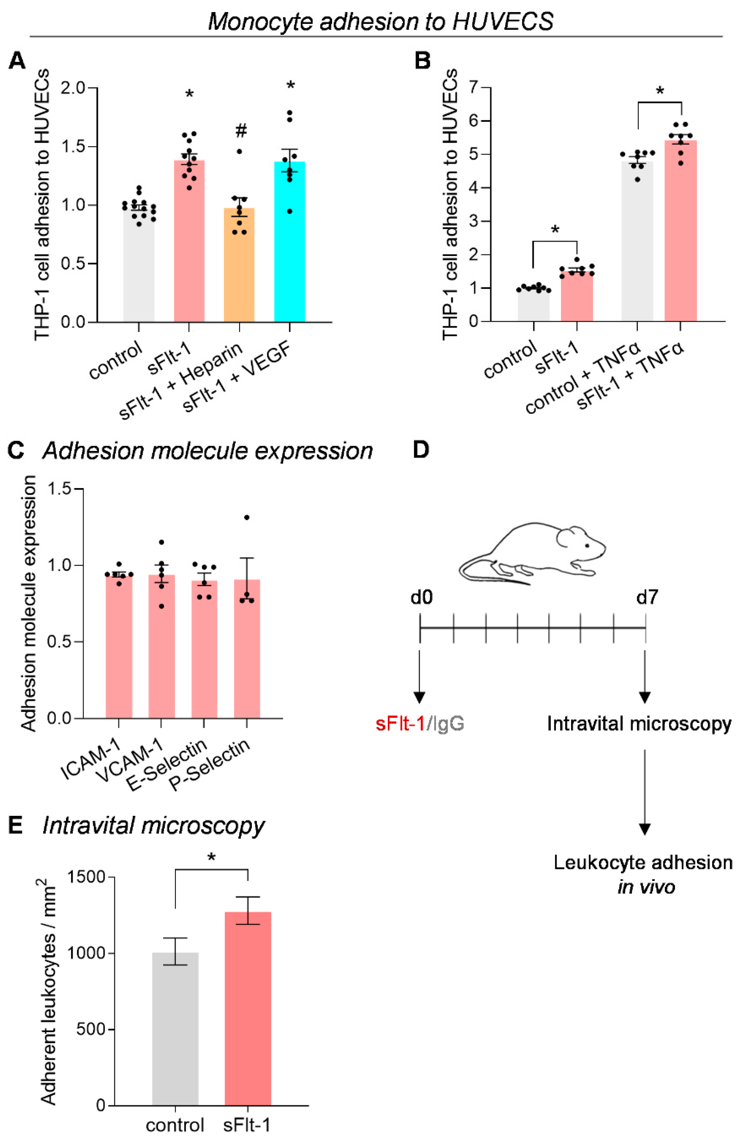 Ijms 24 05380 g003 Ijms 24 05380 g003