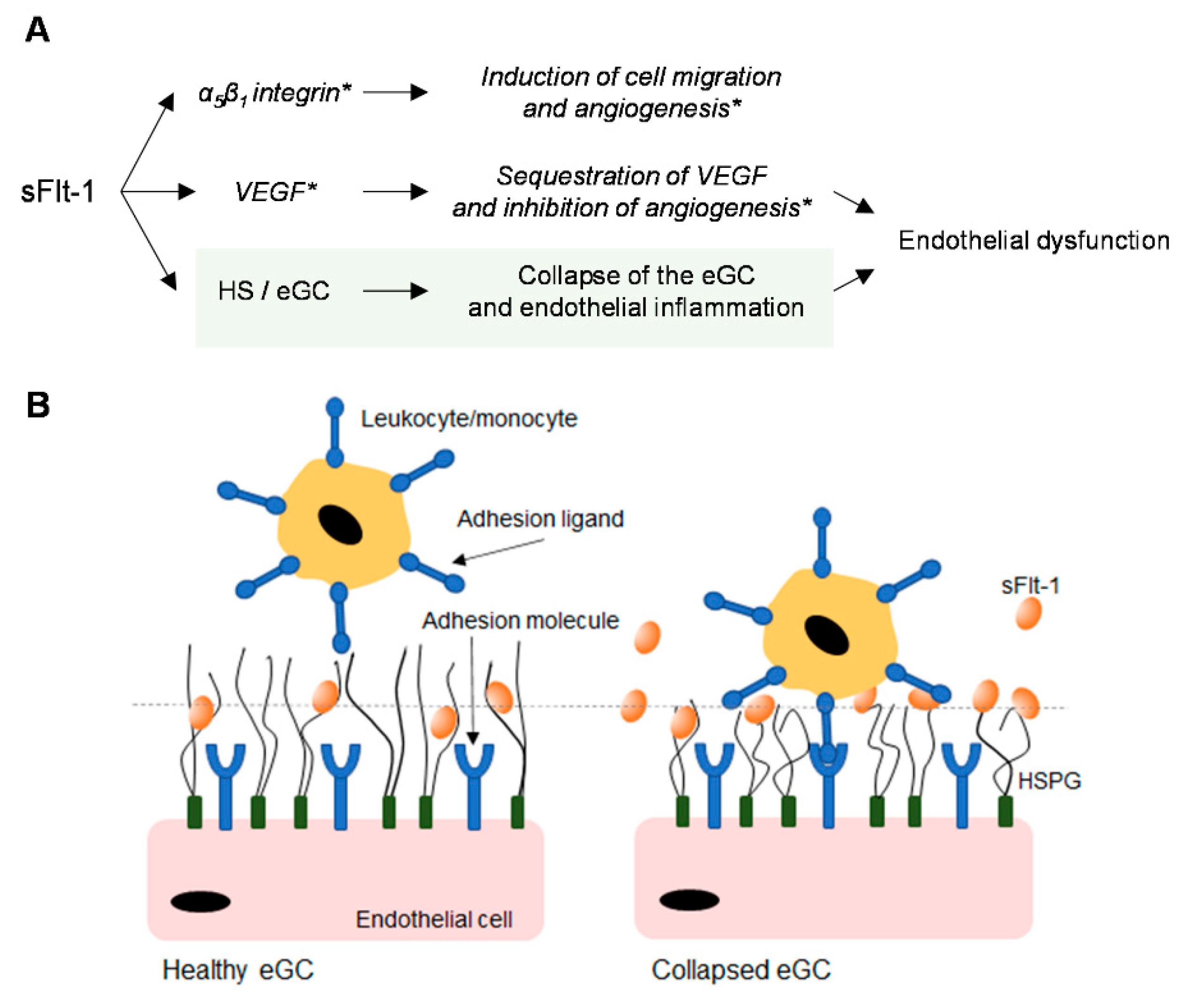 Ijms 24 05380 g006 Ijms 24 05380 g006