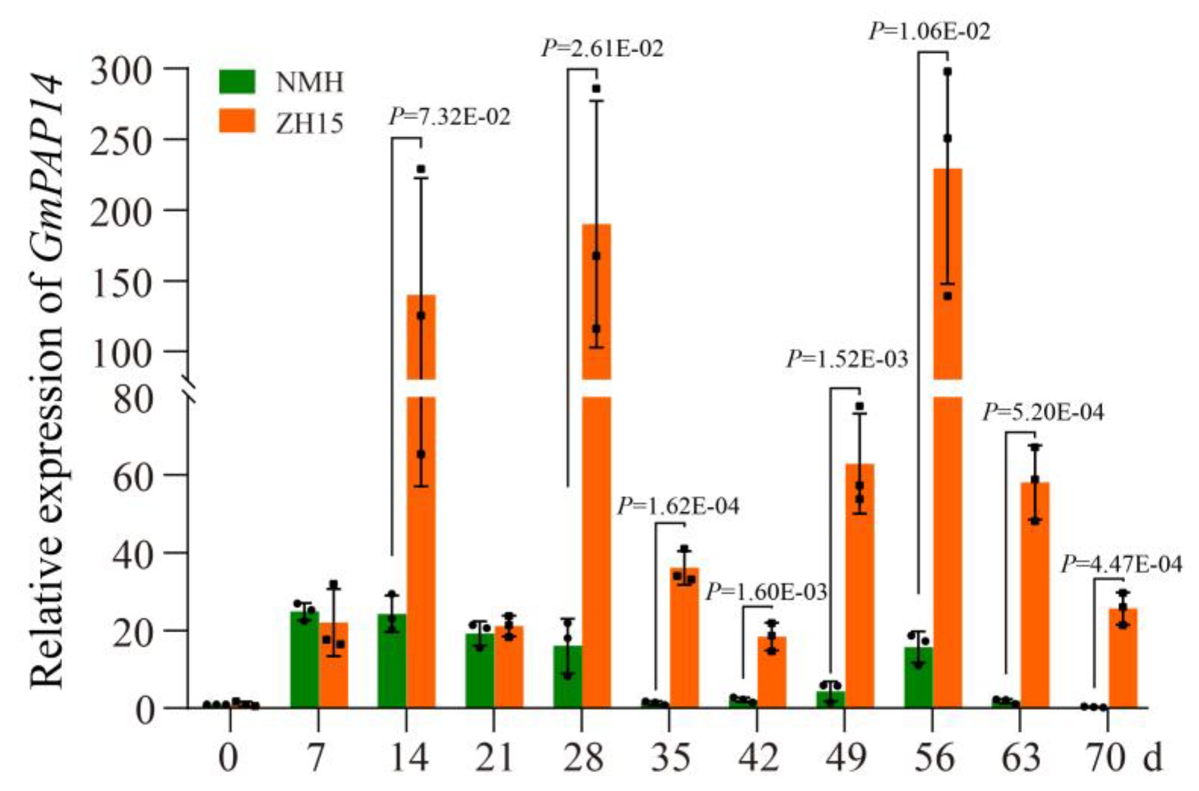 Ijms 24 05398 g001 Ijms 24 05398 g001