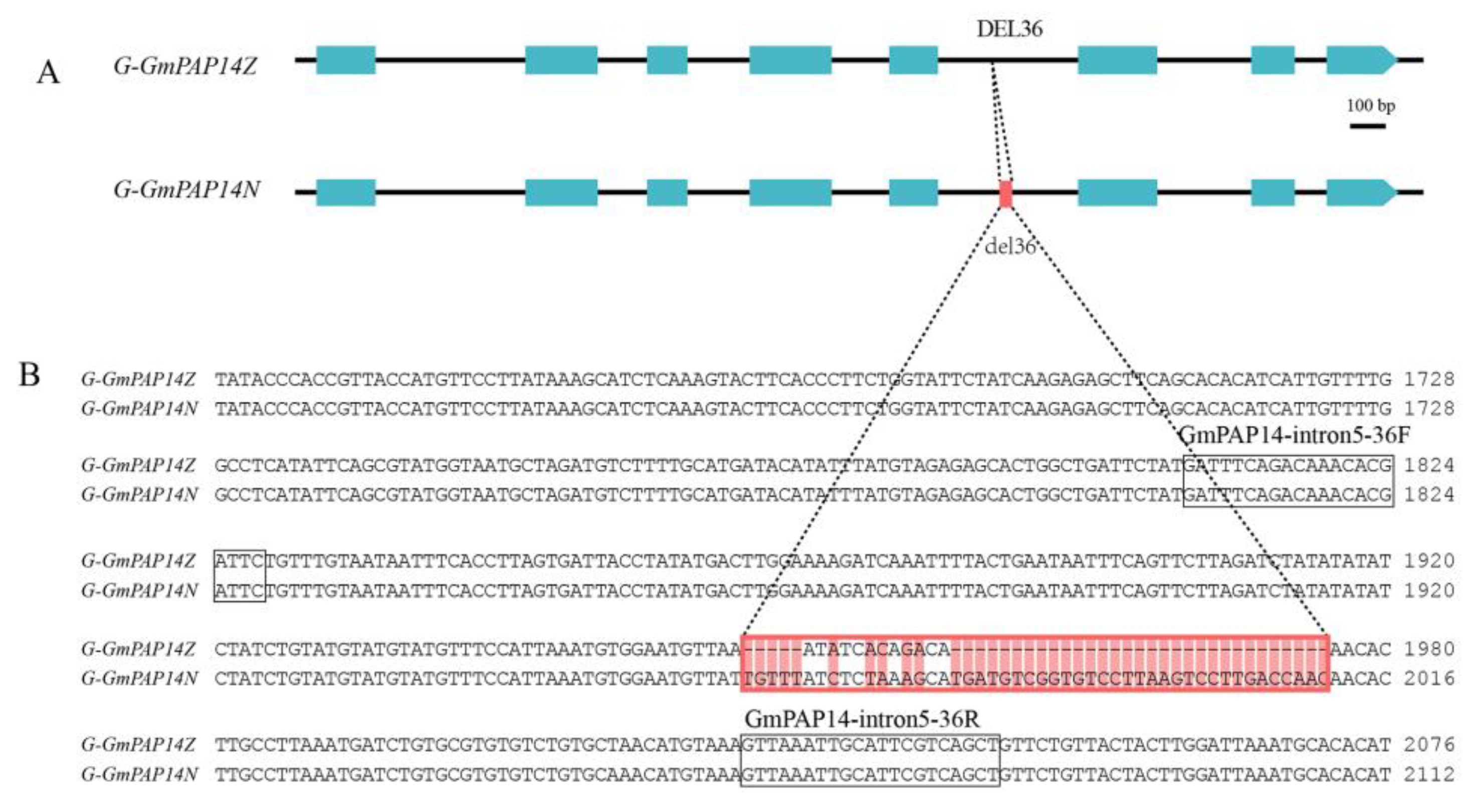 Ijms 24 05398 g003 Ijms 24 05398 g003