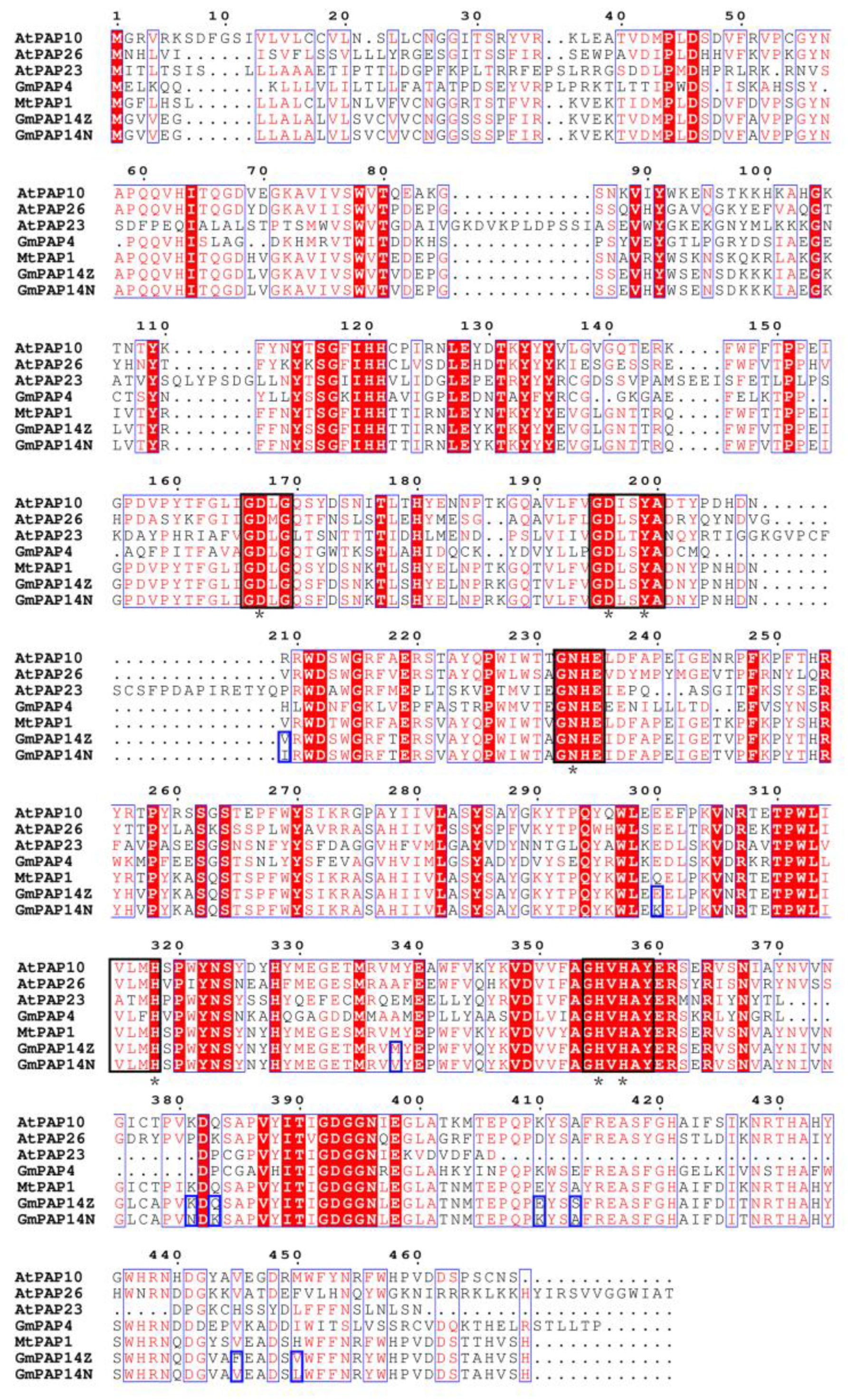 Ijms 24 05398 g004 Ijms 24 05398 g004