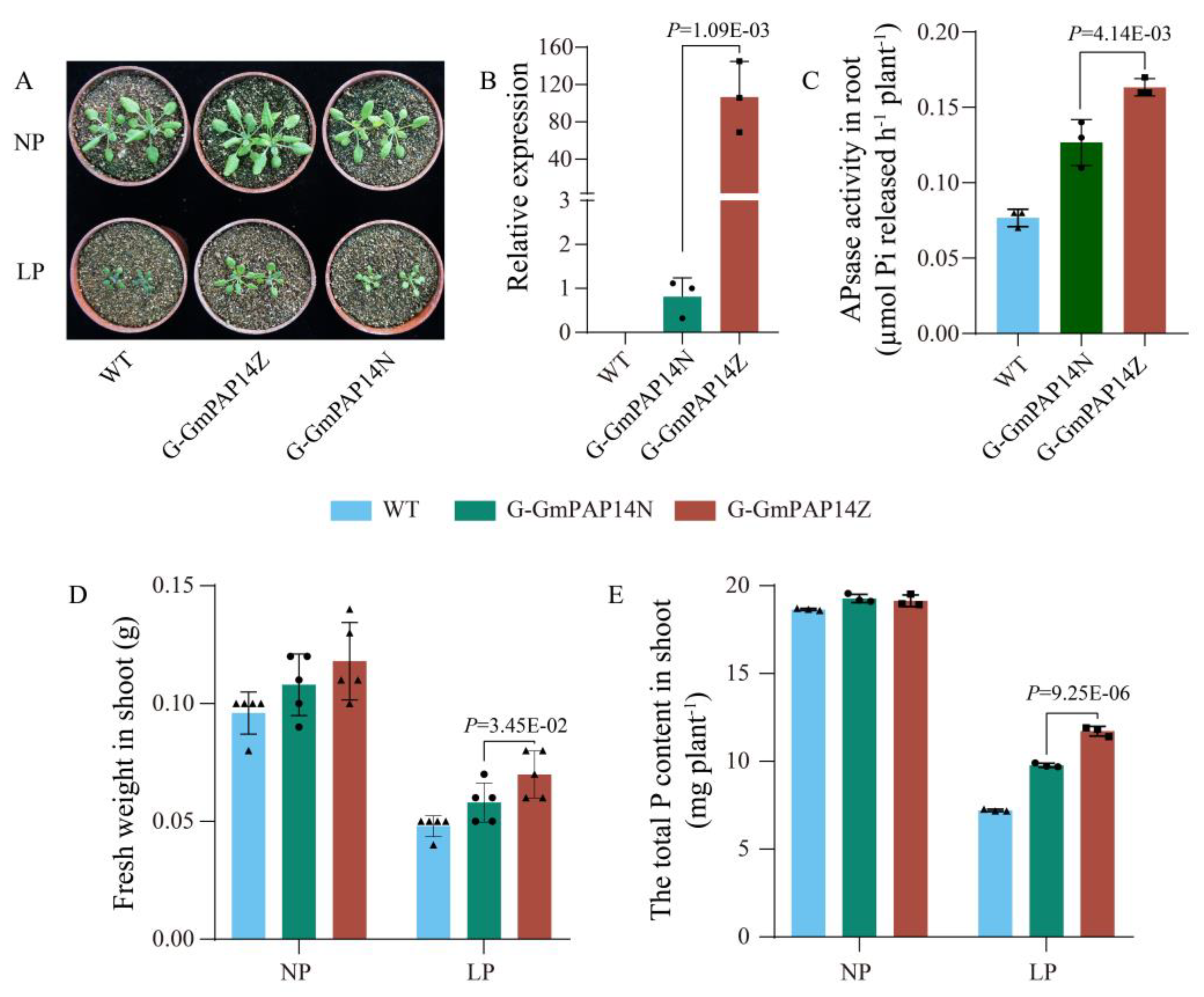 Ijms 24 05398 g005 Ijms 24 05398 g005